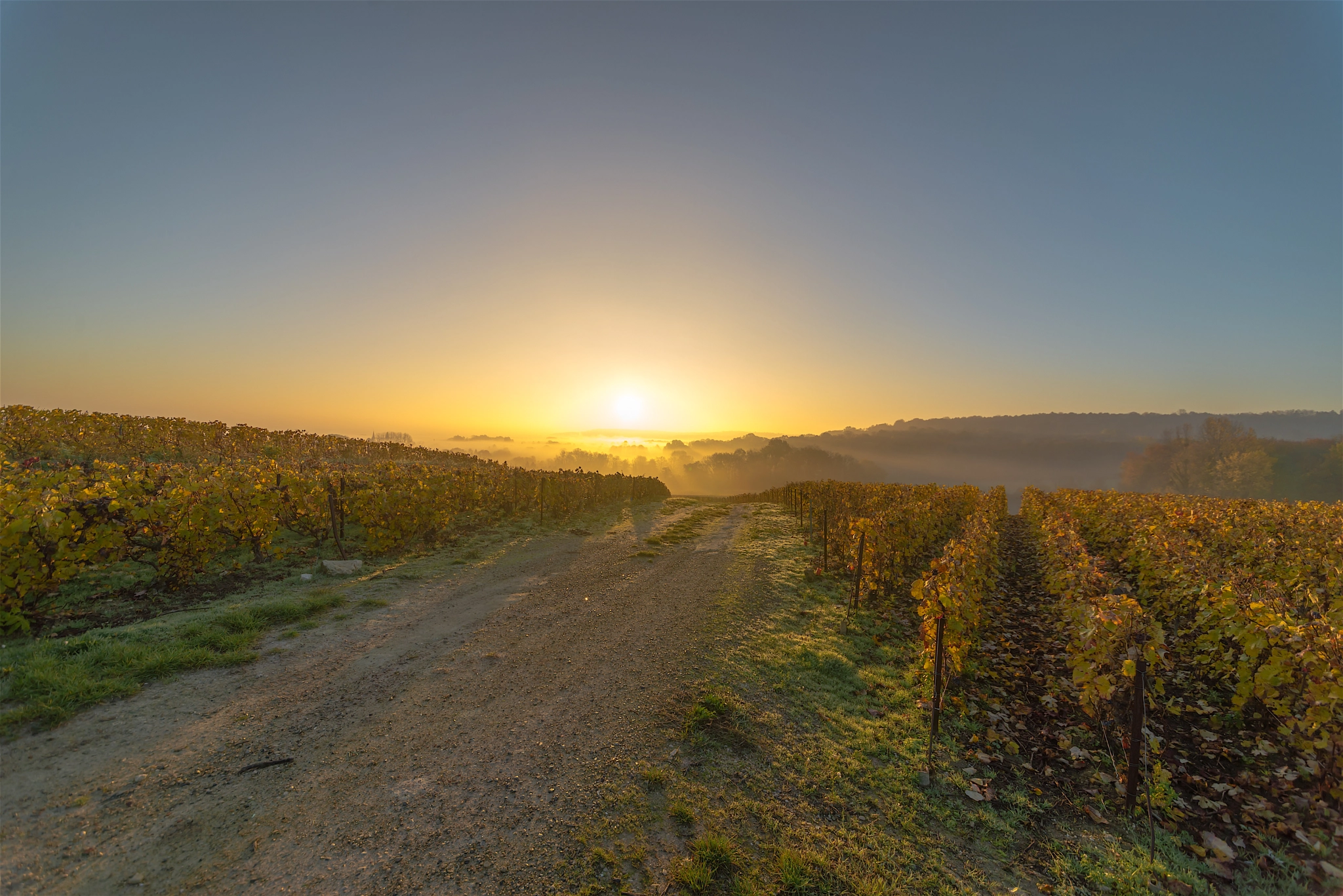 Nikon D600 + Sigma 12-24mm F4.5-5.6 II DG HSM sample photo. Sunrise photography