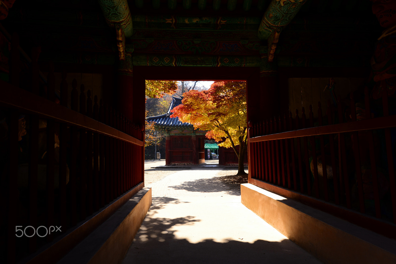 Sigma 12-24mm F4.5-5.6 II DG HSM sample photo
