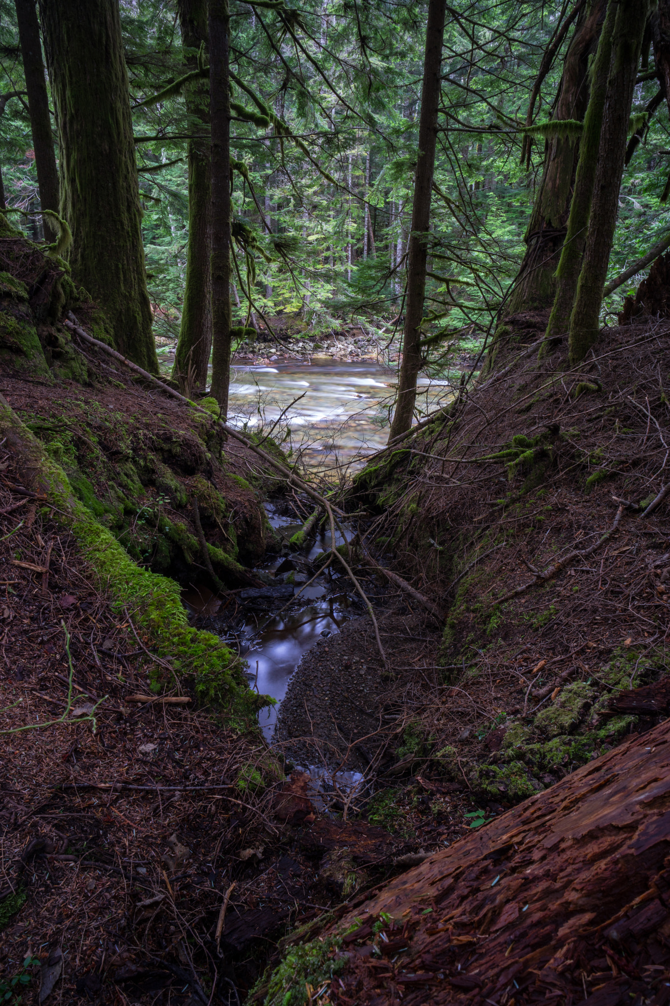 E 21mm F2.8 sample photo. River photography