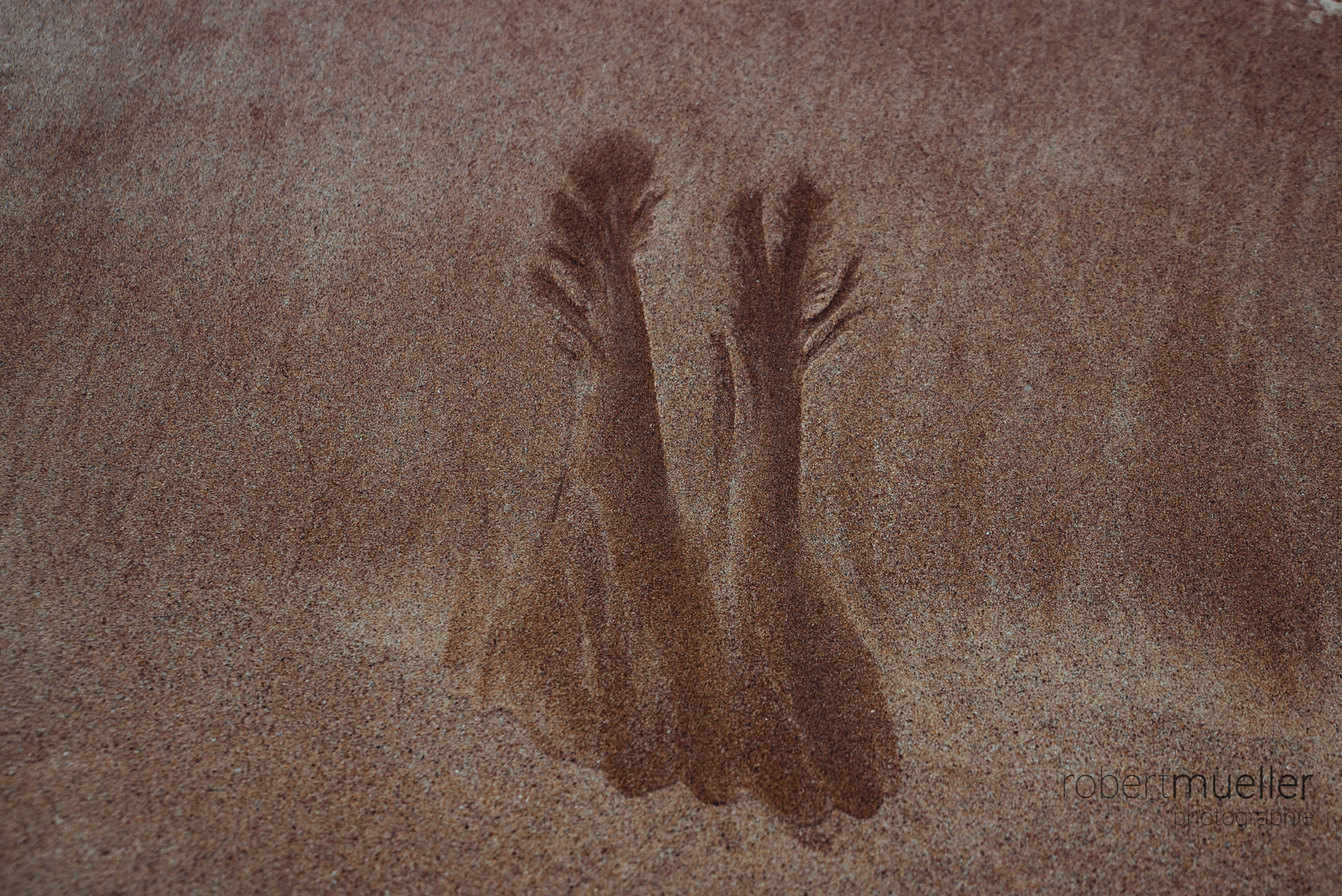 Sony a7S sample photo. Sand paintings photography