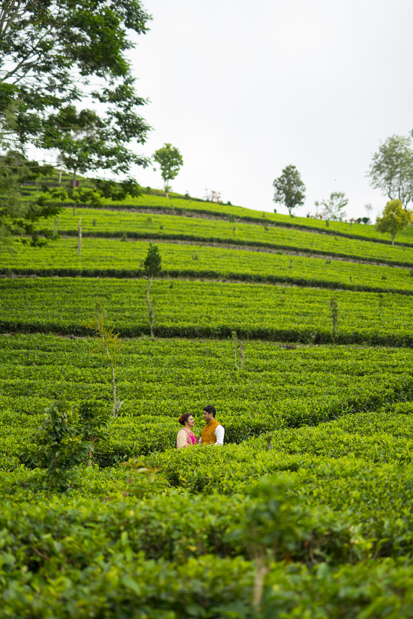 Canon 50mm F1.4 DG HSM | Art 014 sample photo. In midst the hill photography