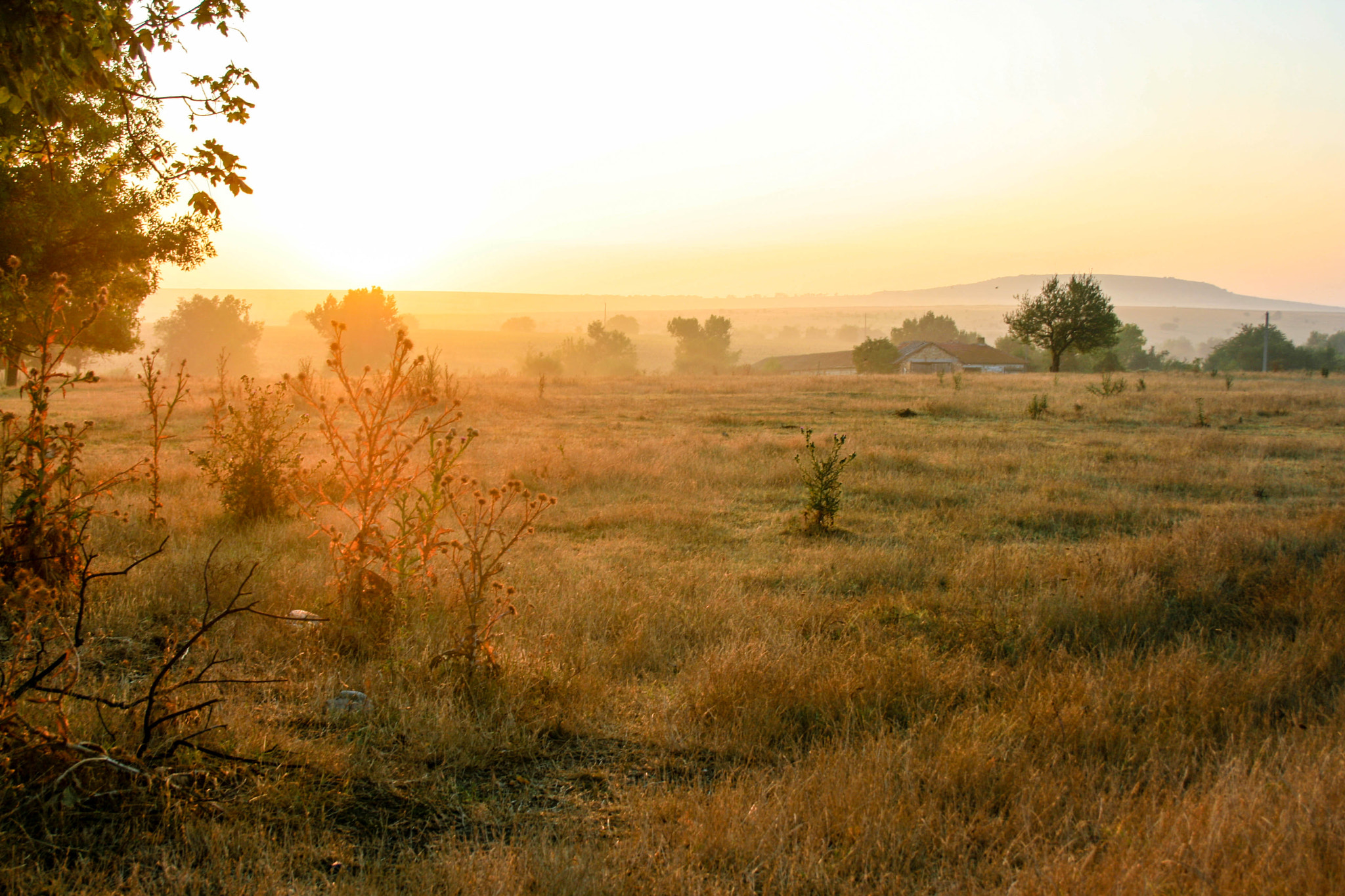 Canon EF 28-105mm F4.0-5.6 USM sample photo. Morning photography