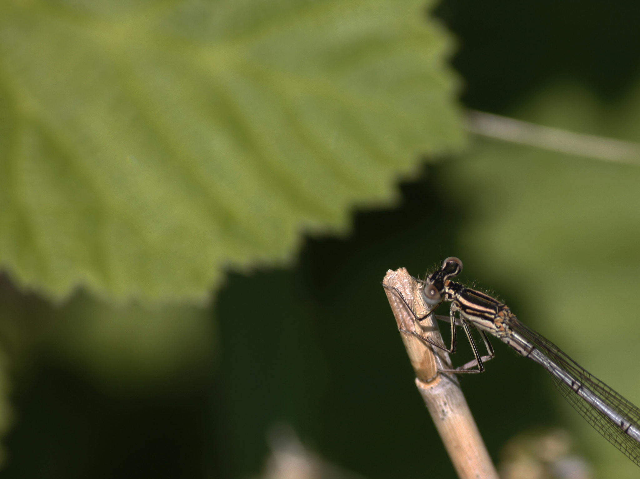 Canon EOS 40D sample photo