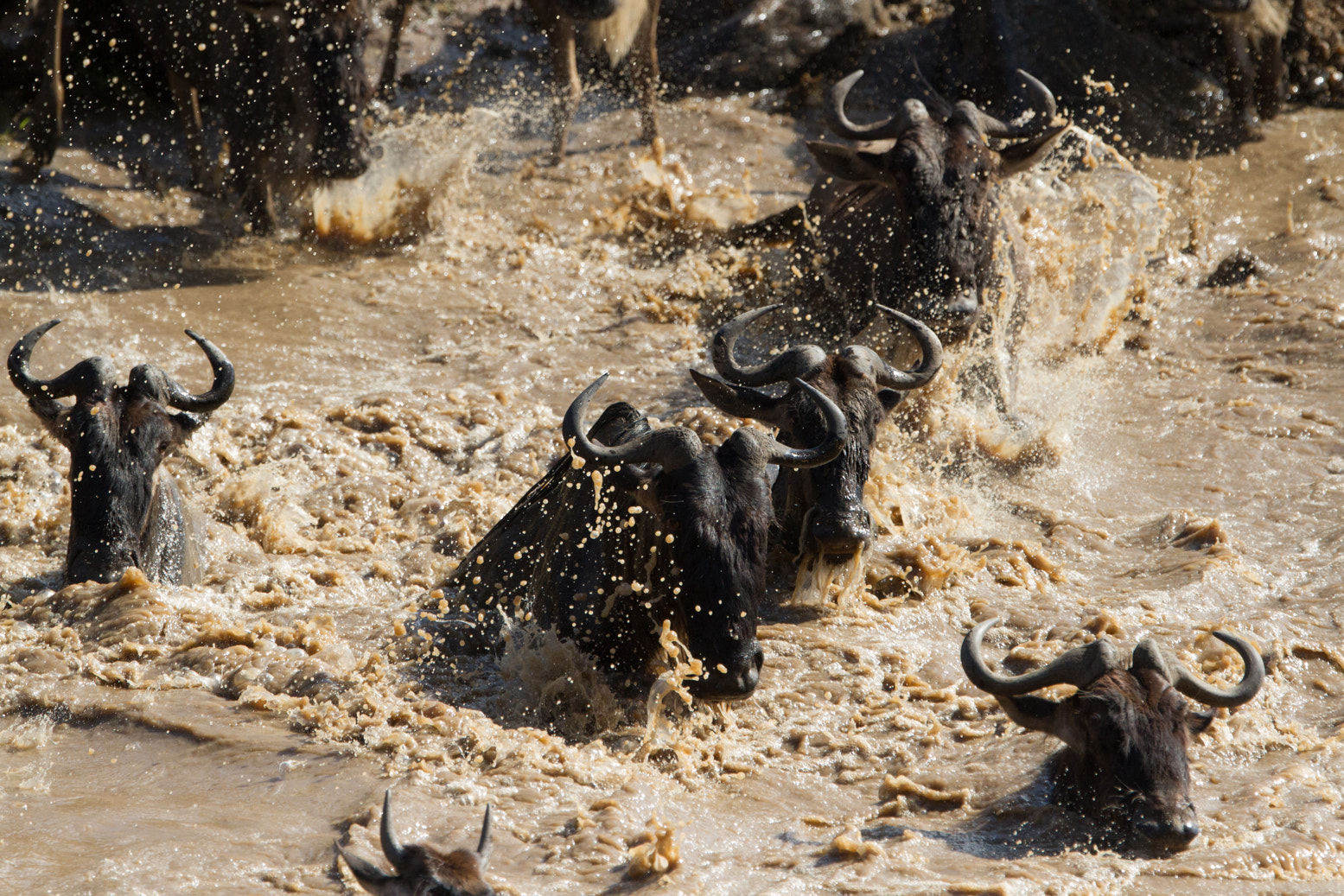 Canon EF 300mm F2.8L IS USM sample photo. Kenya photography