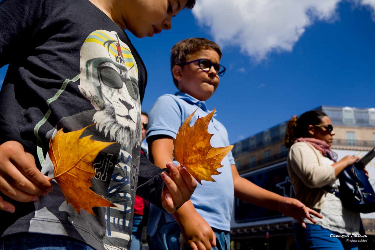 Olympus OM-D E-M10 II sample photo. Street - autumn leaves photography