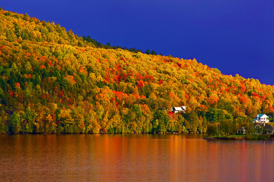 Canada, Quebec, La Mauricie National Park, Fall Colors, Foliage by ya