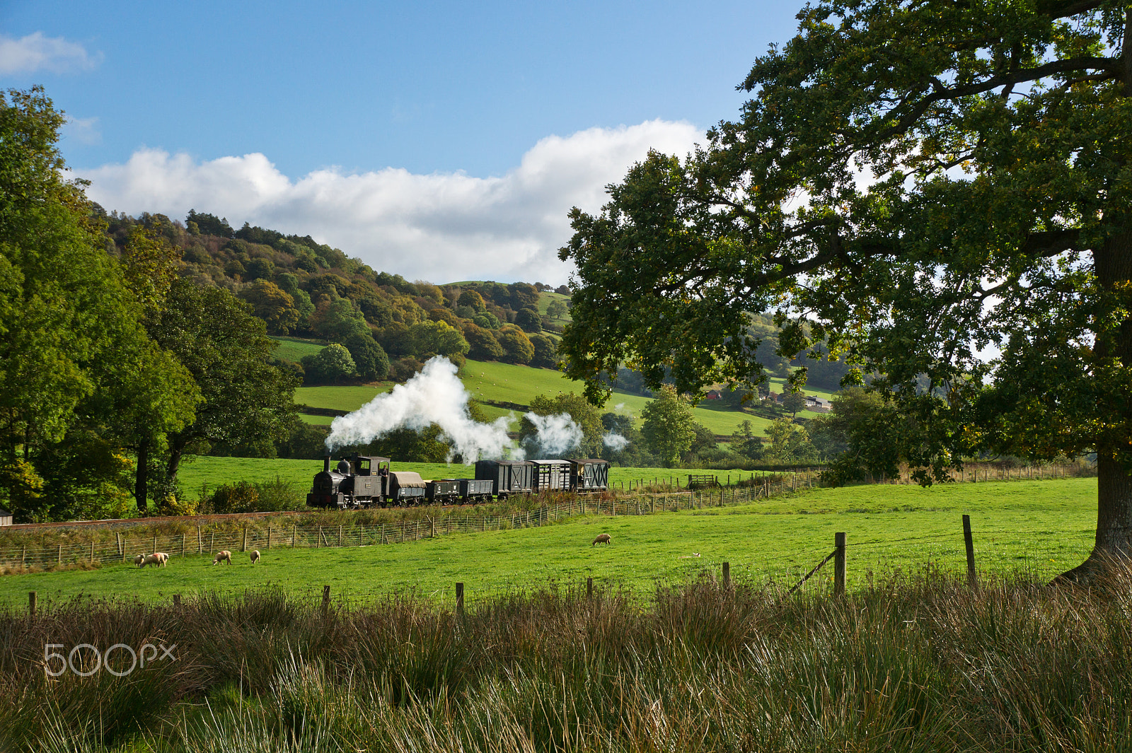 Sony Alpha DSLR-A550 sample photo. Rural byway photography