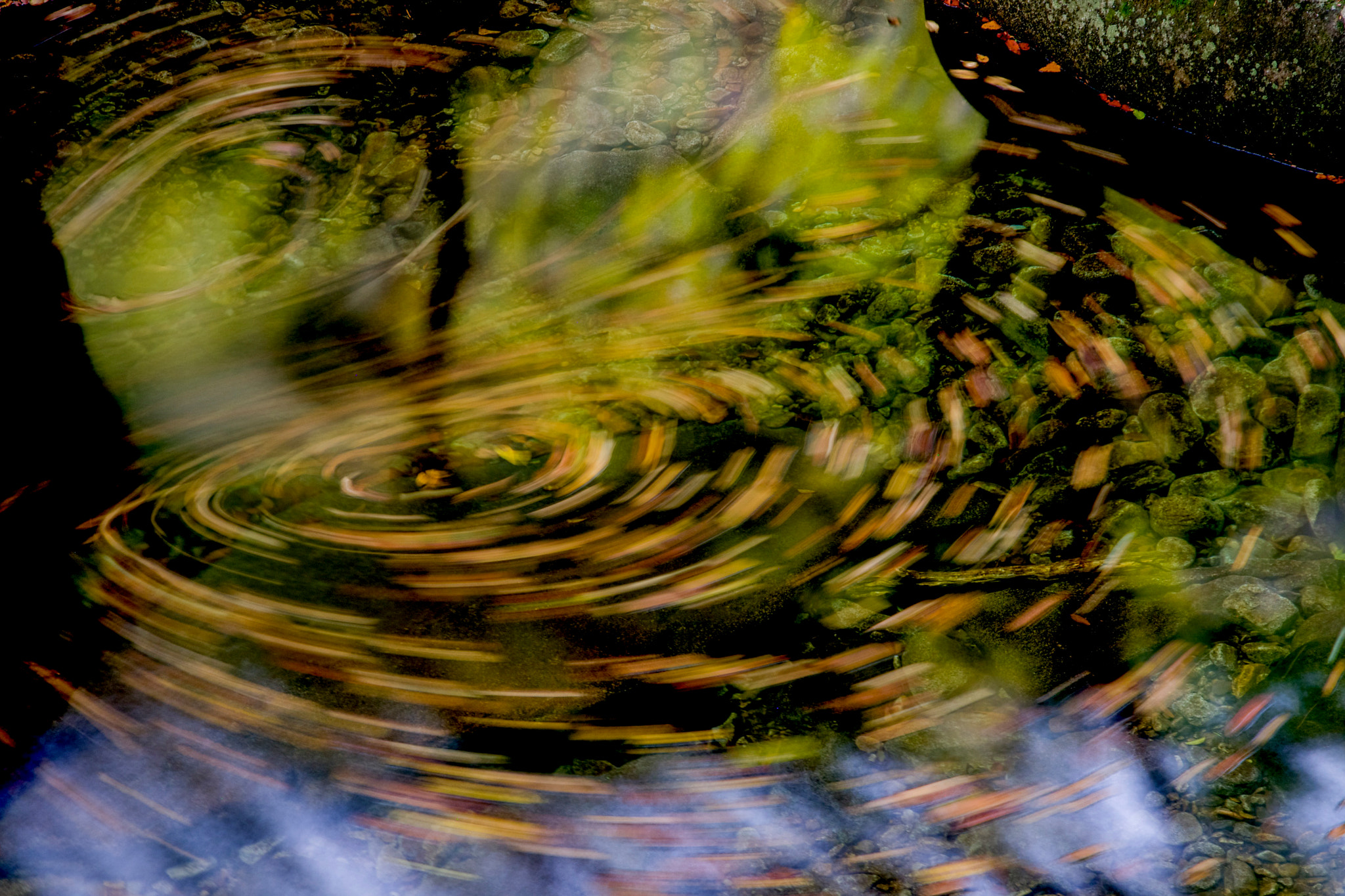 Pentax K-5 IIs sample photo. Roll photography