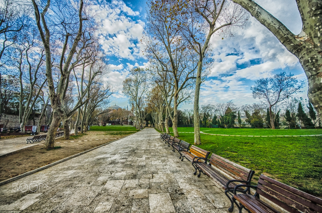Sigma 8-16mm F4.5-5.6 DC HSM sample photo. Dsc photography