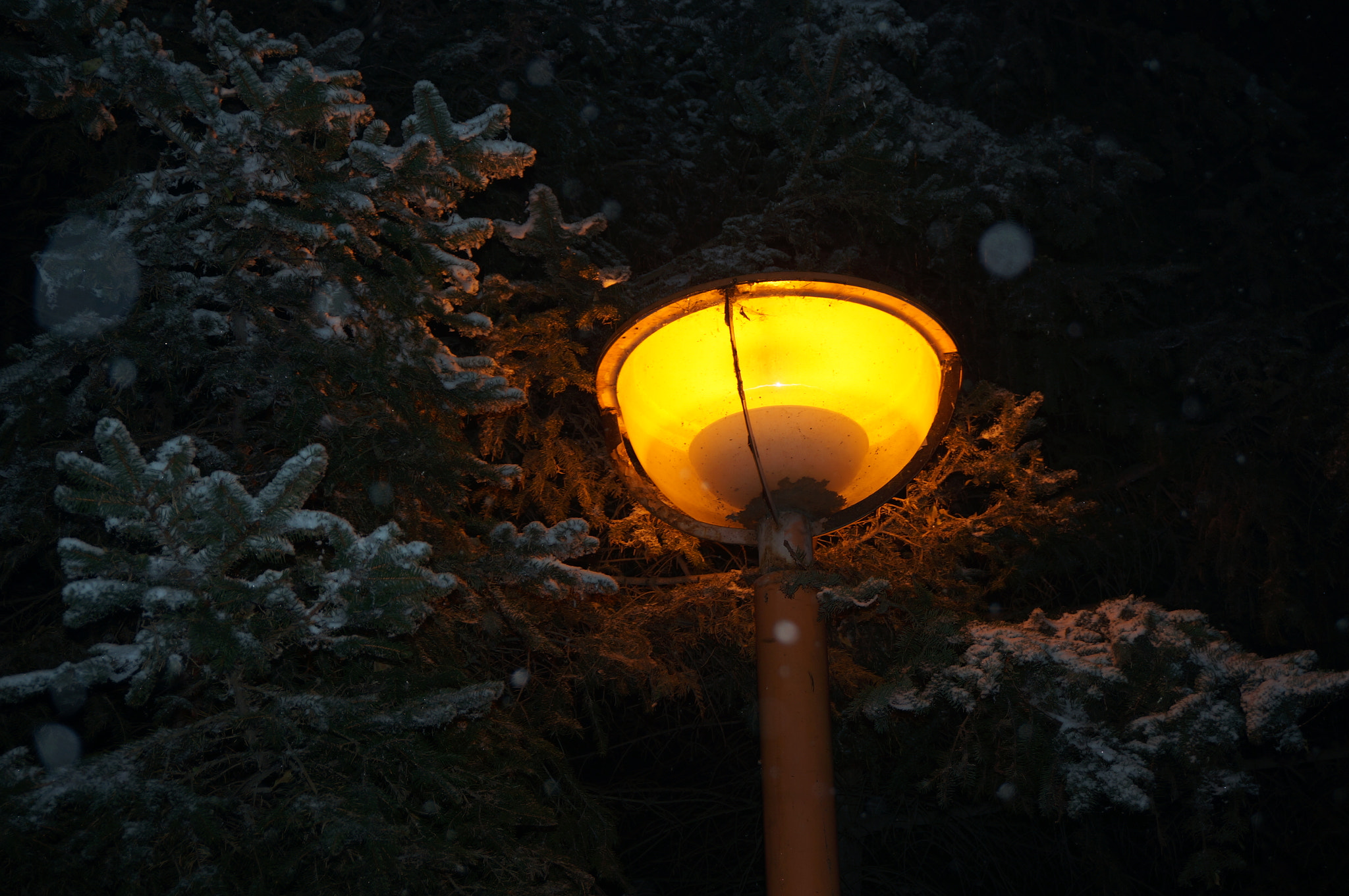 Sony Alpha NEX-5T + Sony E 18-50mm F4-5.6 sample photo. Snowy night photography