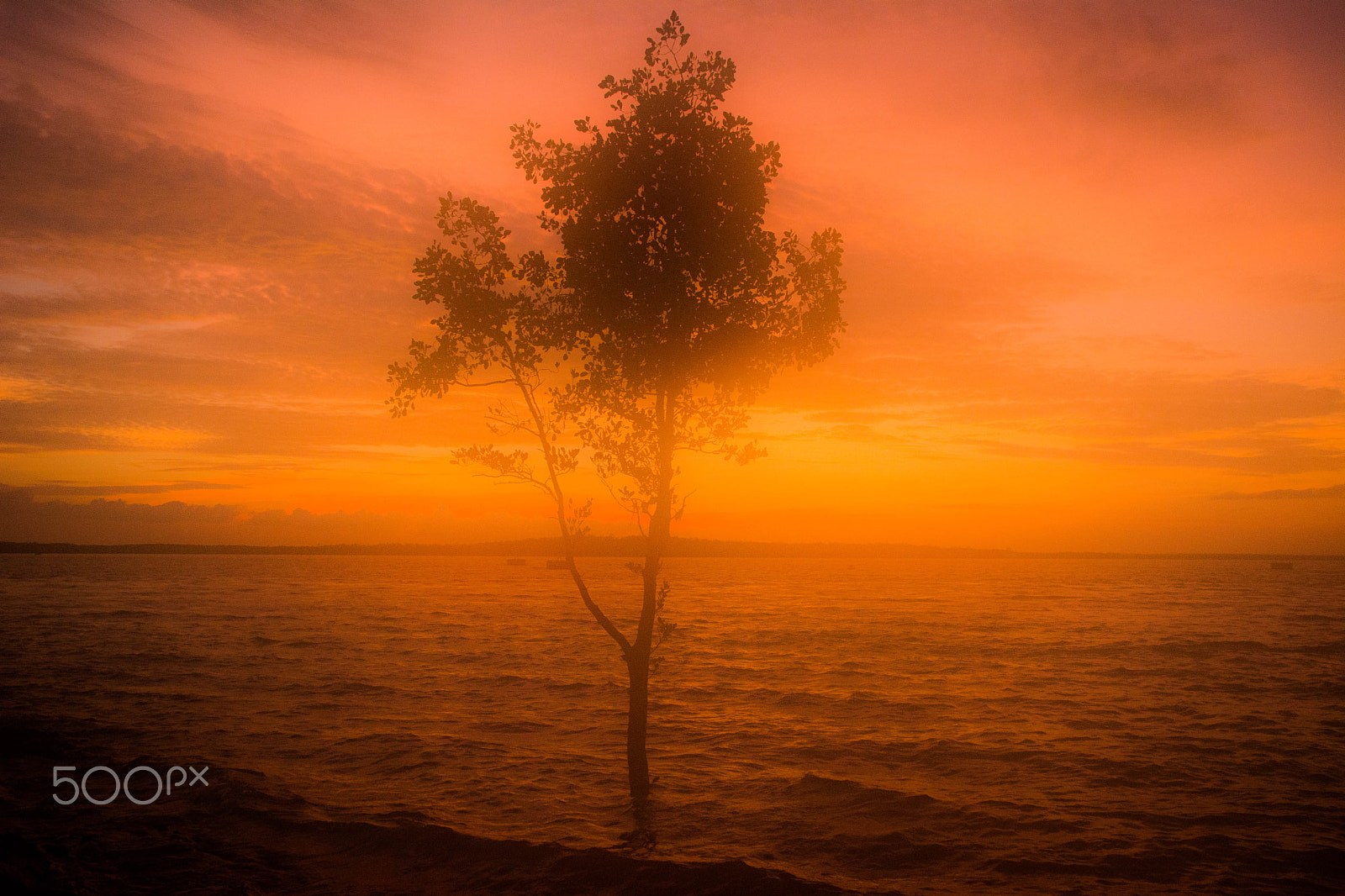 Sigma 17-70mm F2.8-4 DC Macro OS HSM sample photo. Sunset nt style photography