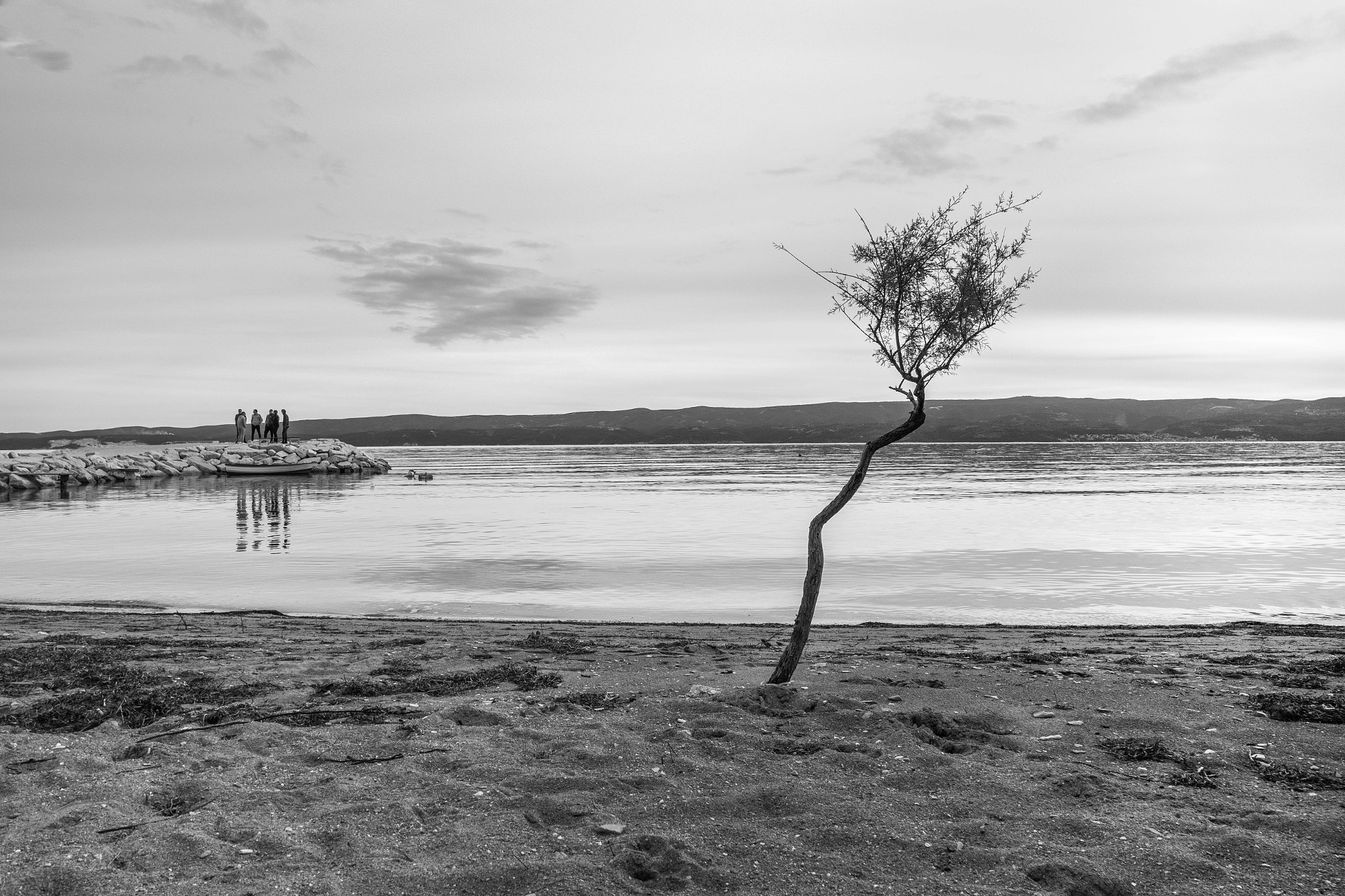 Samsung NX300M sample photo. Friendship photography