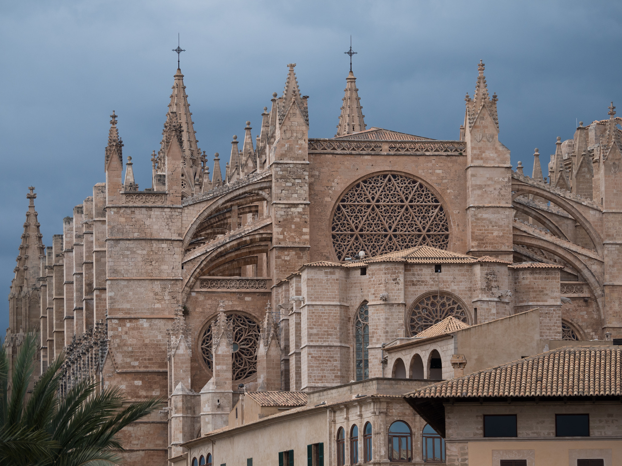 Panasonic Lumix DMC-GH4 sample photo. Palma cathedral (mallorca, spain) photography