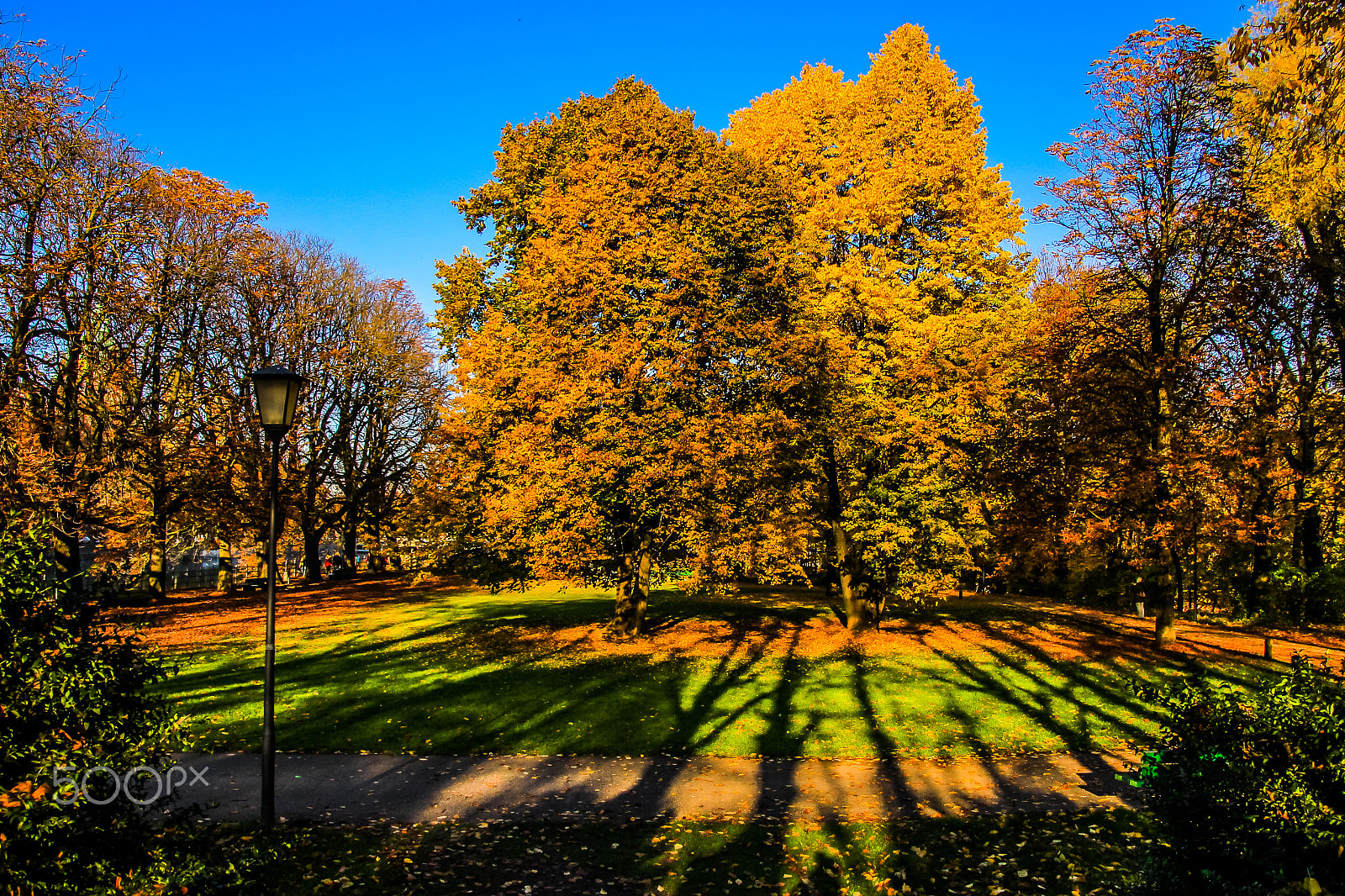 Canon EOS M sample photo. Munich autumn photography