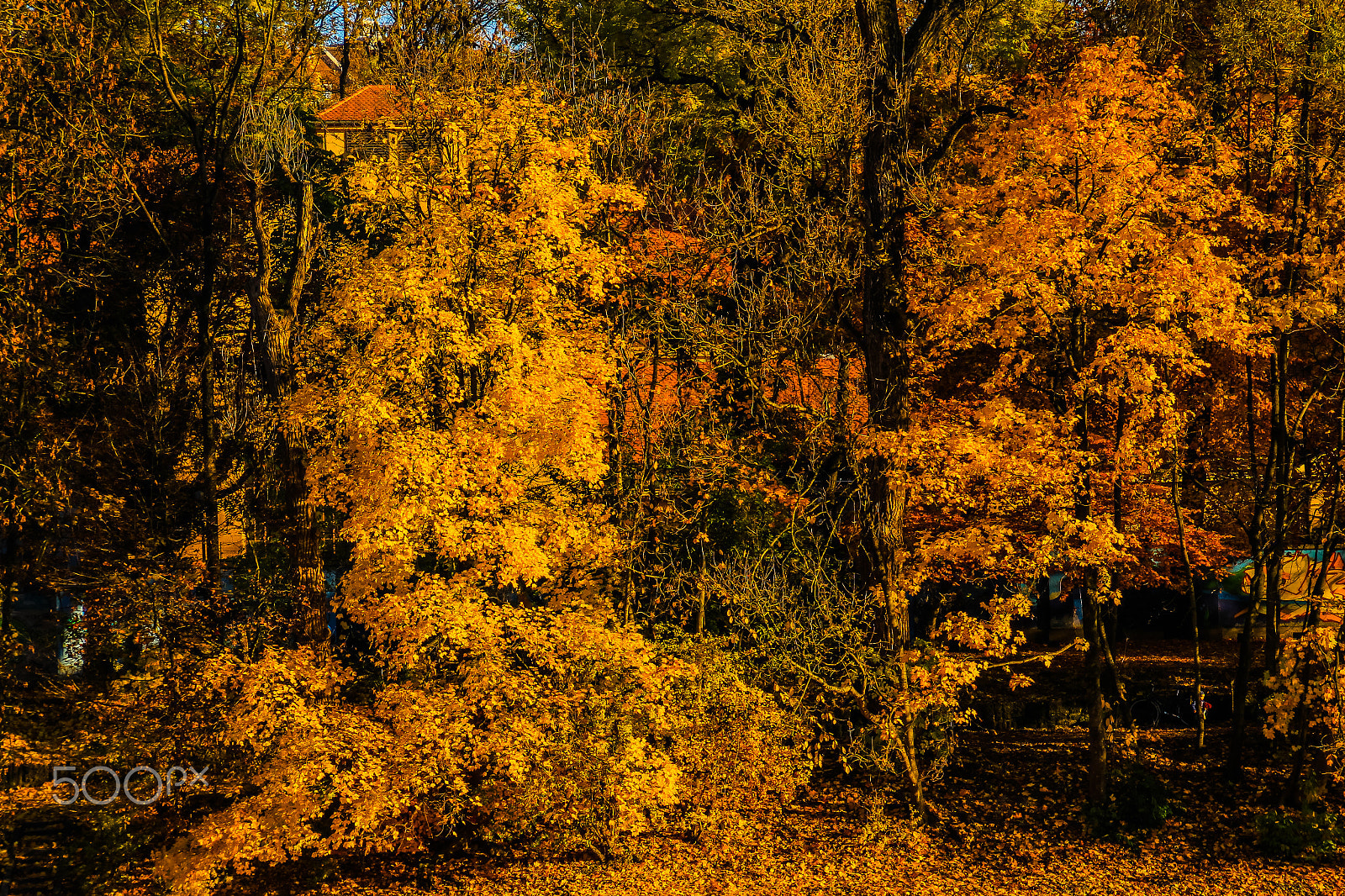 Canon EOS M sample photo. Munich autumn photography