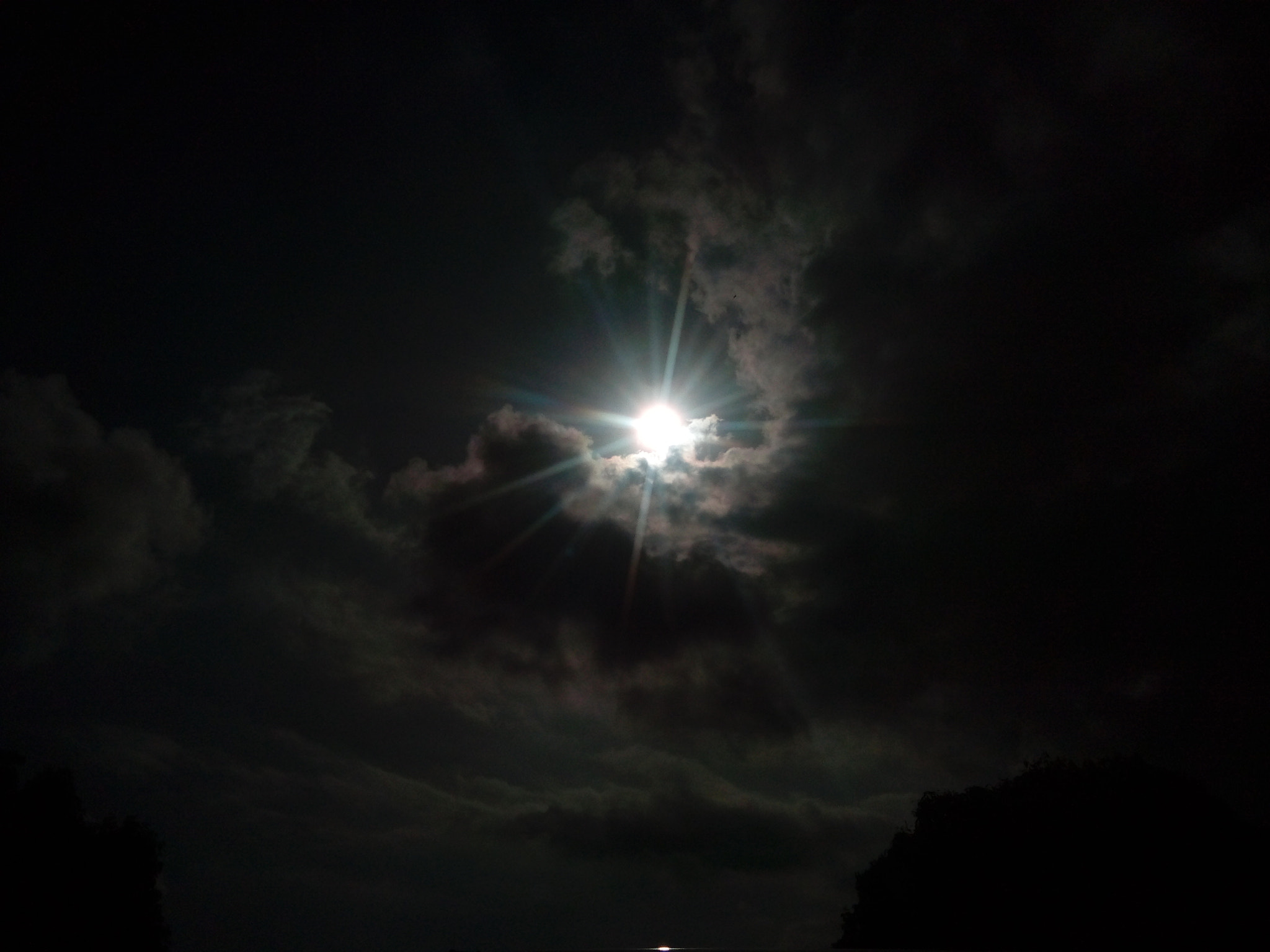 vivo Y22 sample photo. Slience photography