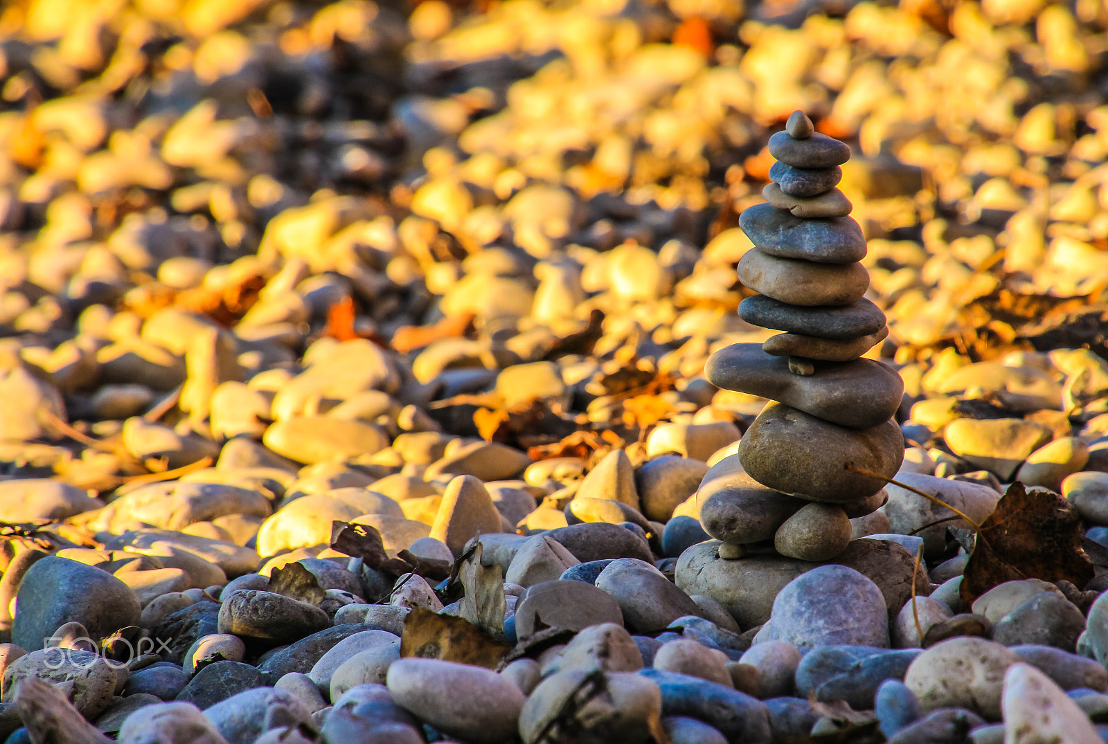 Canon EOS M sample photo. Munich autumn photography