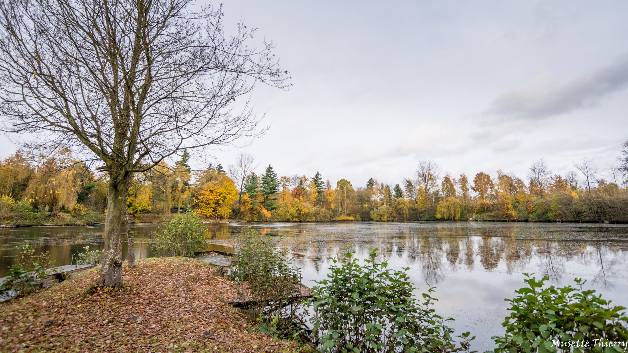 Nikon D600 sample photo. Etang d'automne photography