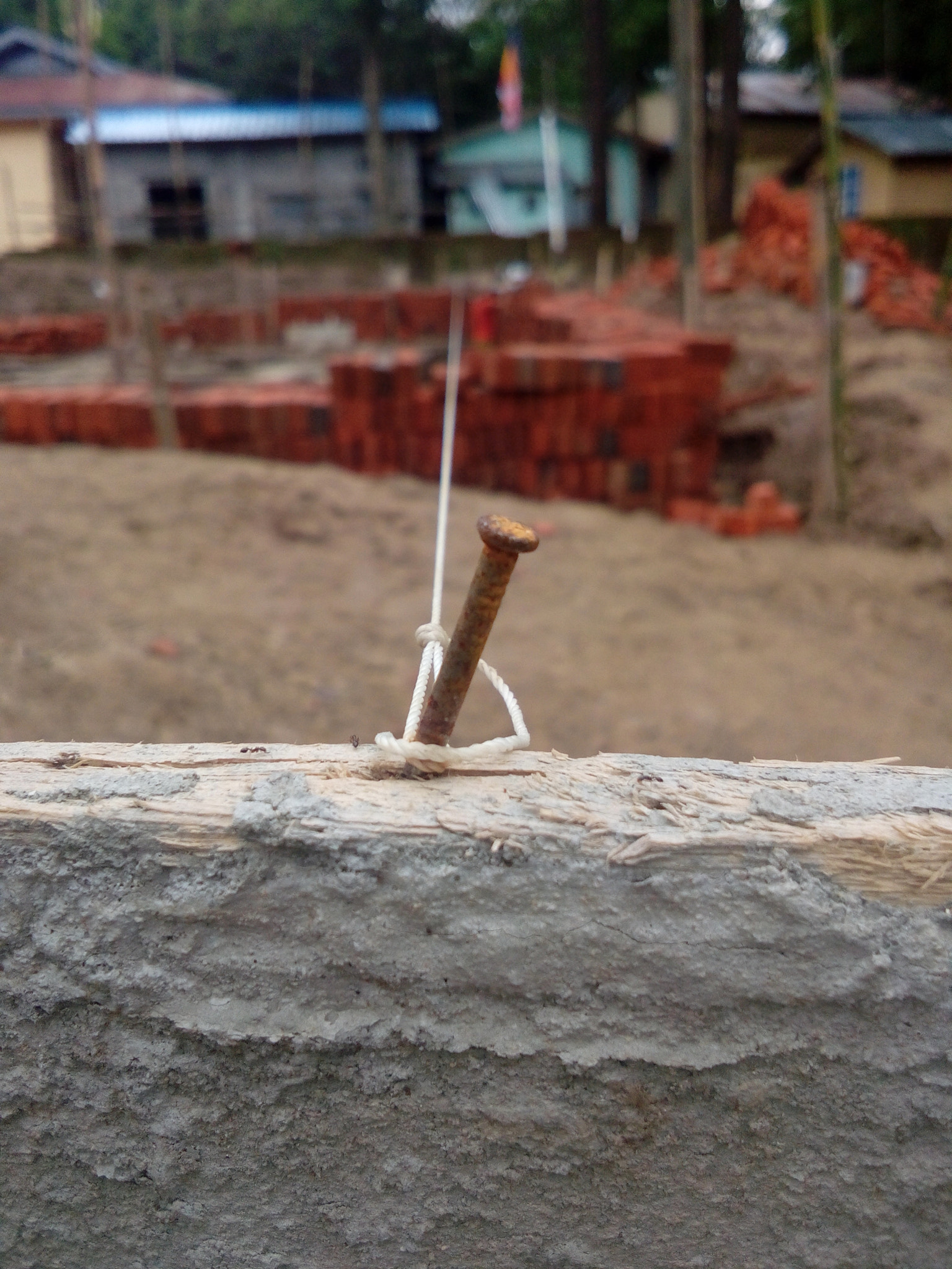 vivo Y22 sample photo. Beginning photography