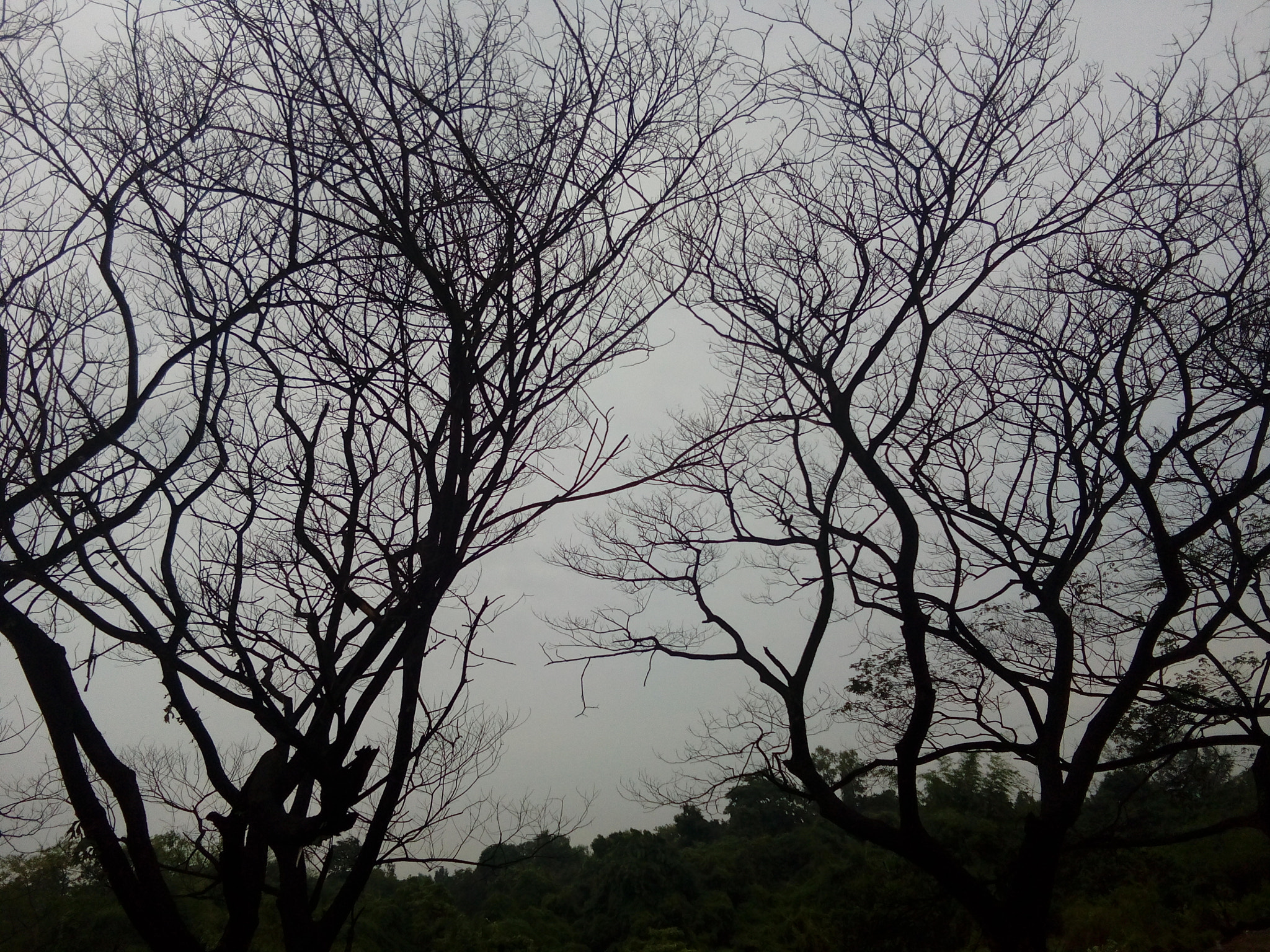 vivo Y22 sample photo. Slient  attachement photography