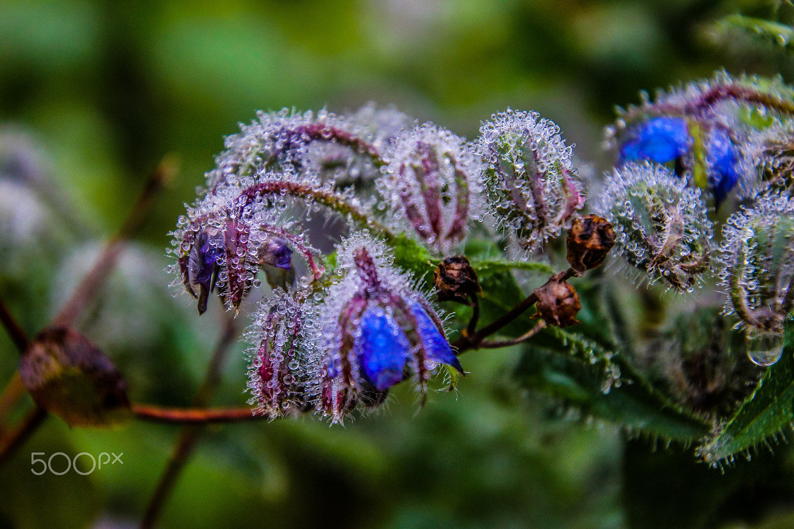 Canon EOS M sample photo. Fresh morning photography