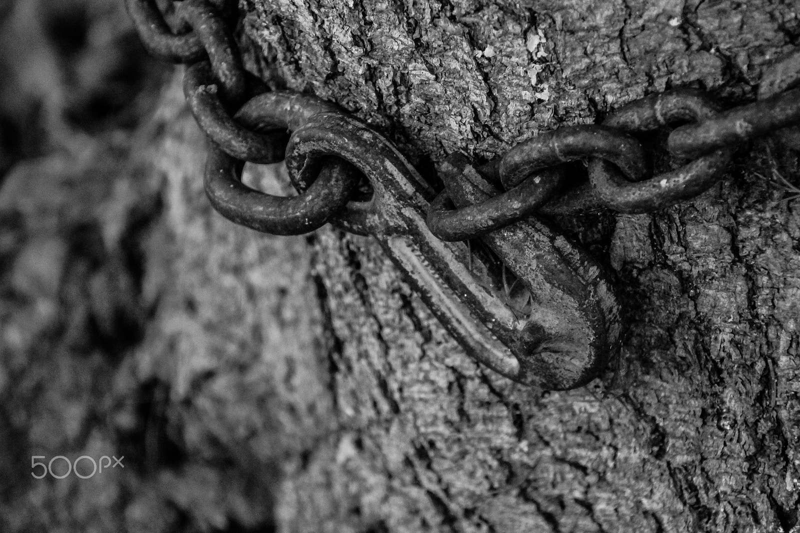 Canon EOS M sample photo. Chain photography