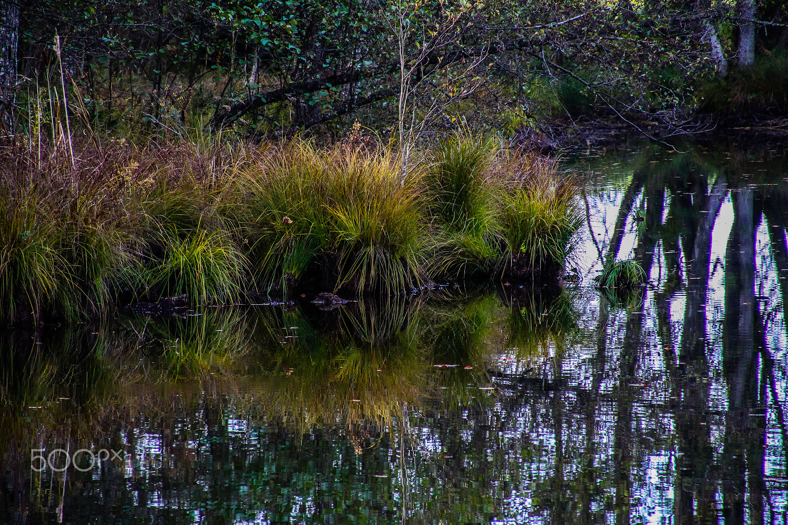 Canon EOS M sample photo. Lake in bavaria photography