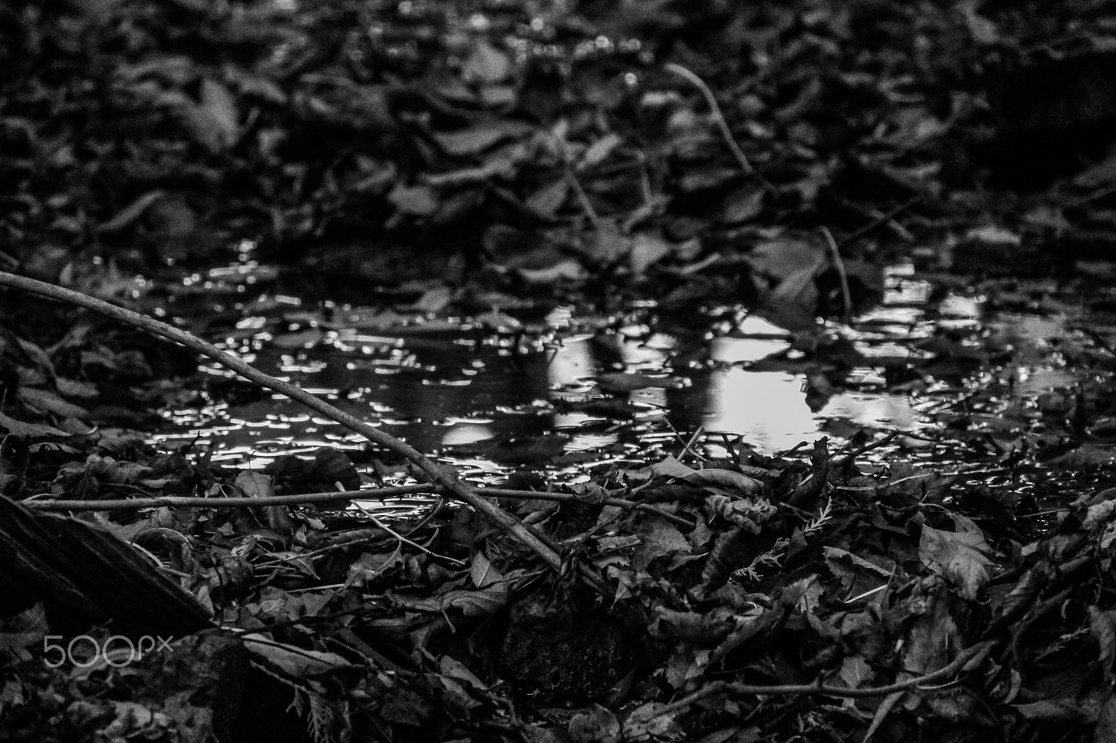 Canon EOS M sample photo. Puddle photography