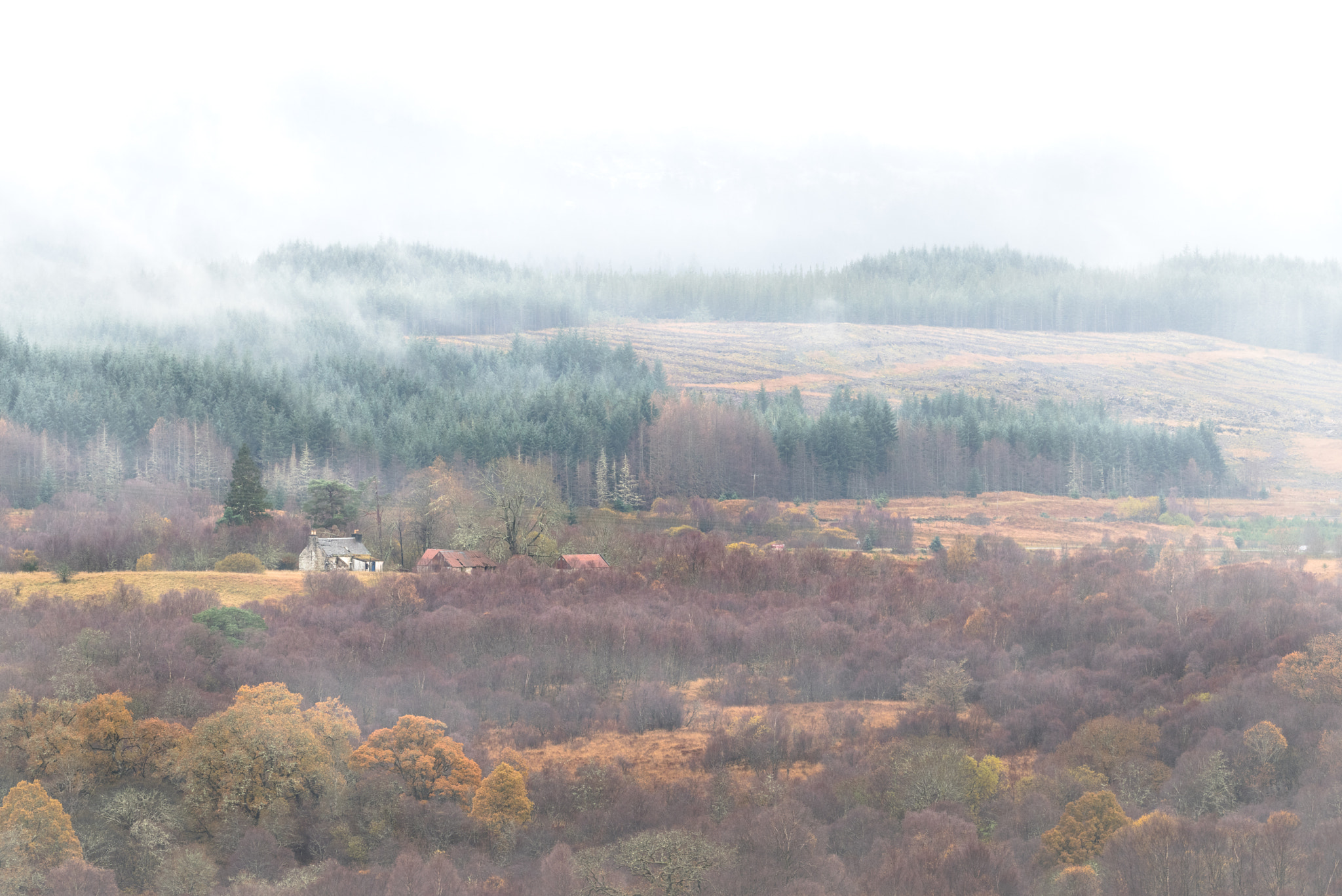 Pentax K-1 + Pentax D FA 150-450mm F4.5-5.6 ED DC AW sample photo. Autumn mist in scotland photography
