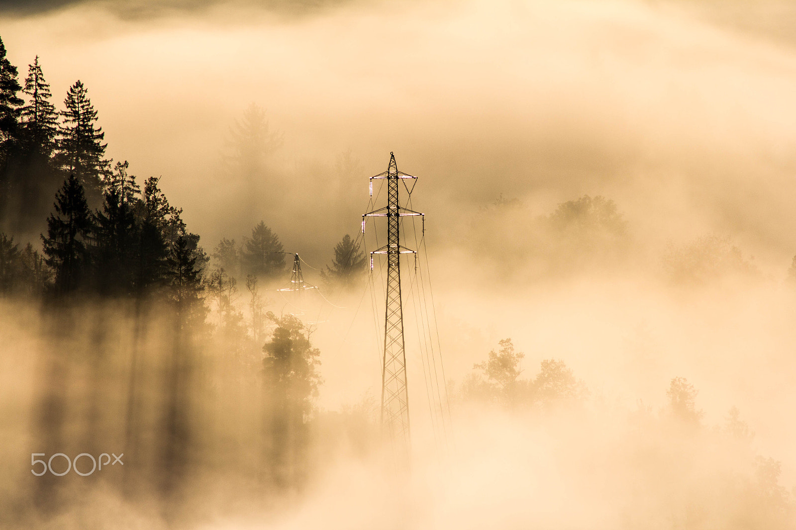 Canon EOS 60D sample photo. Power lines in the fog photography