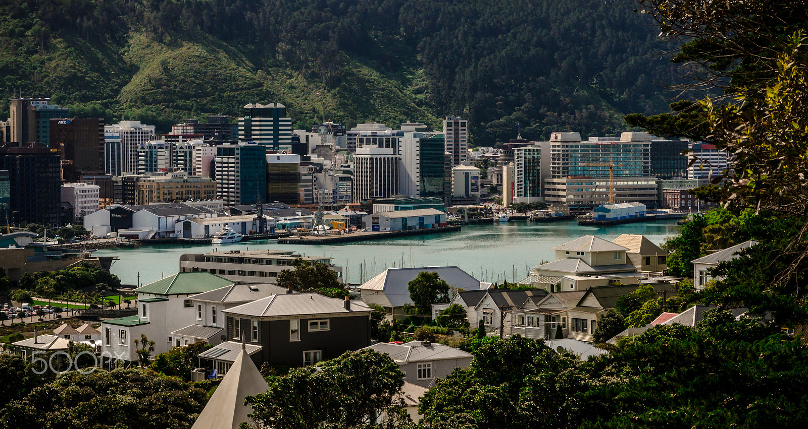 Sigma 17-70mm F2.8-4 DC Macro OS HSM sample photo. Wellington bay photography