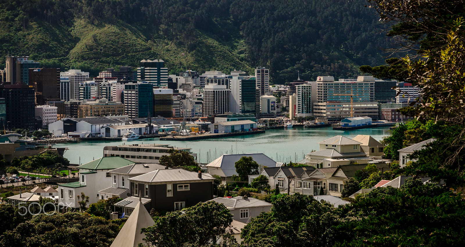 Nikon D7000 + Sigma 17-70mm F2.8-4 DC Macro OS HSM sample photo. Wellington bay photography