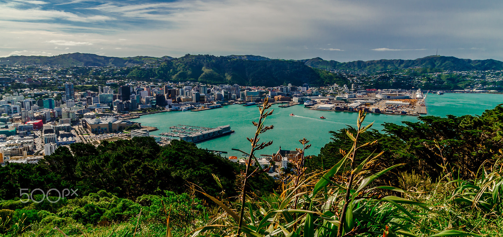 Sigma 17-70mm F2.8-4 DC Macro OS HSM sample photo. Wellingtons mt. victoria view photography