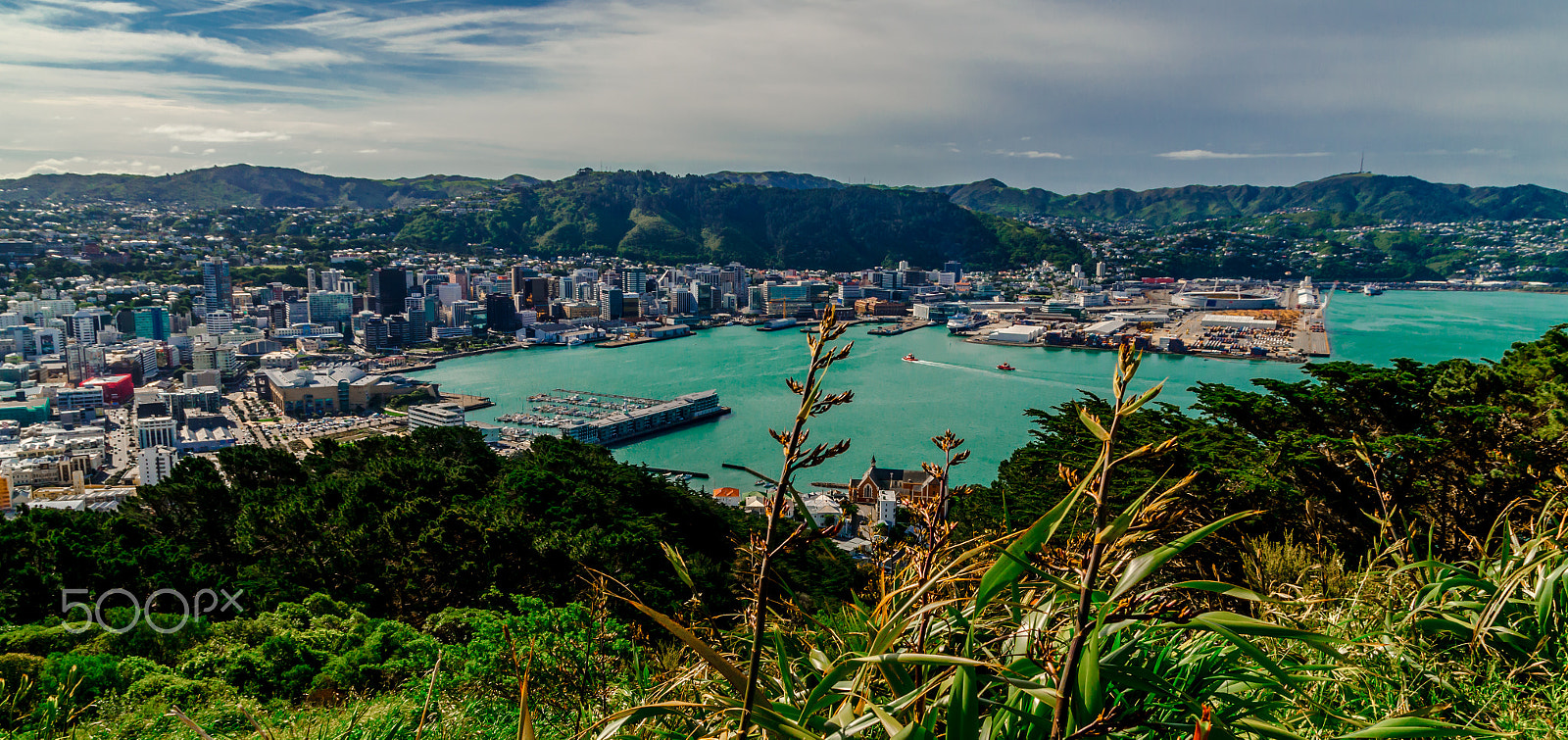 Nikon D7000 + Sigma 17-70mm F2.8-4 DC Macro OS HSM sample photo. Wellingtons mt. victoria view photography