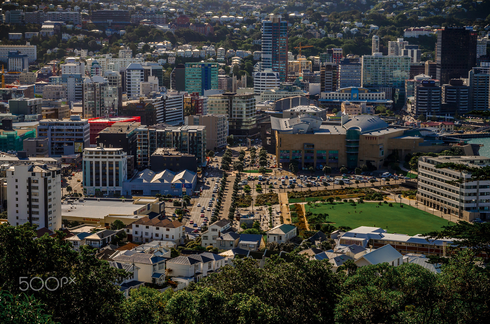 Sigma 17-70mm F2.8-4 DC Macro OS HSM sample photo. Wellington city photography