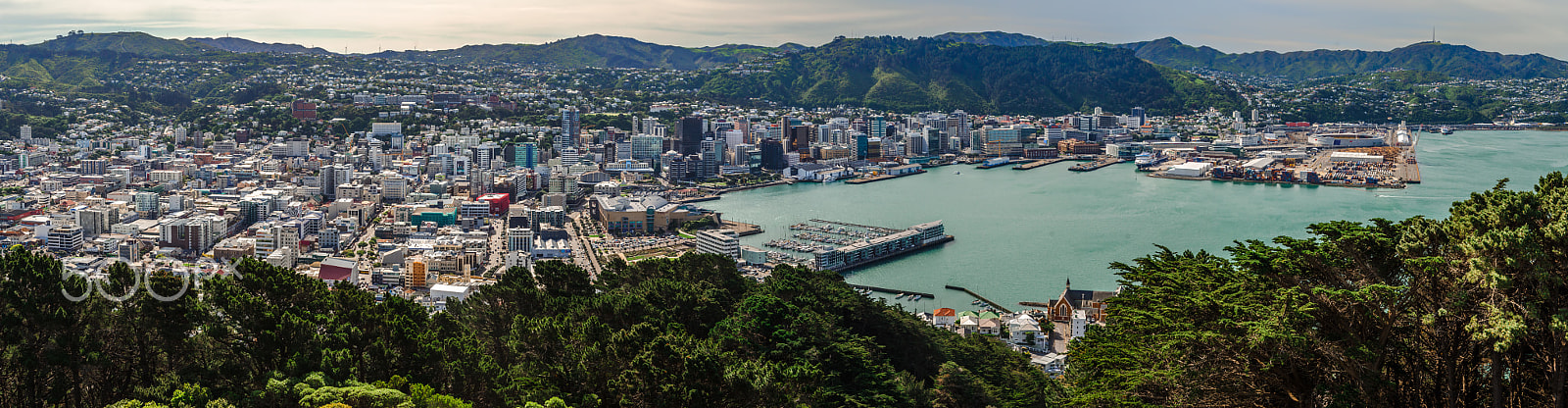 Nikon D7000 sample photo. Panoramic wellington photography