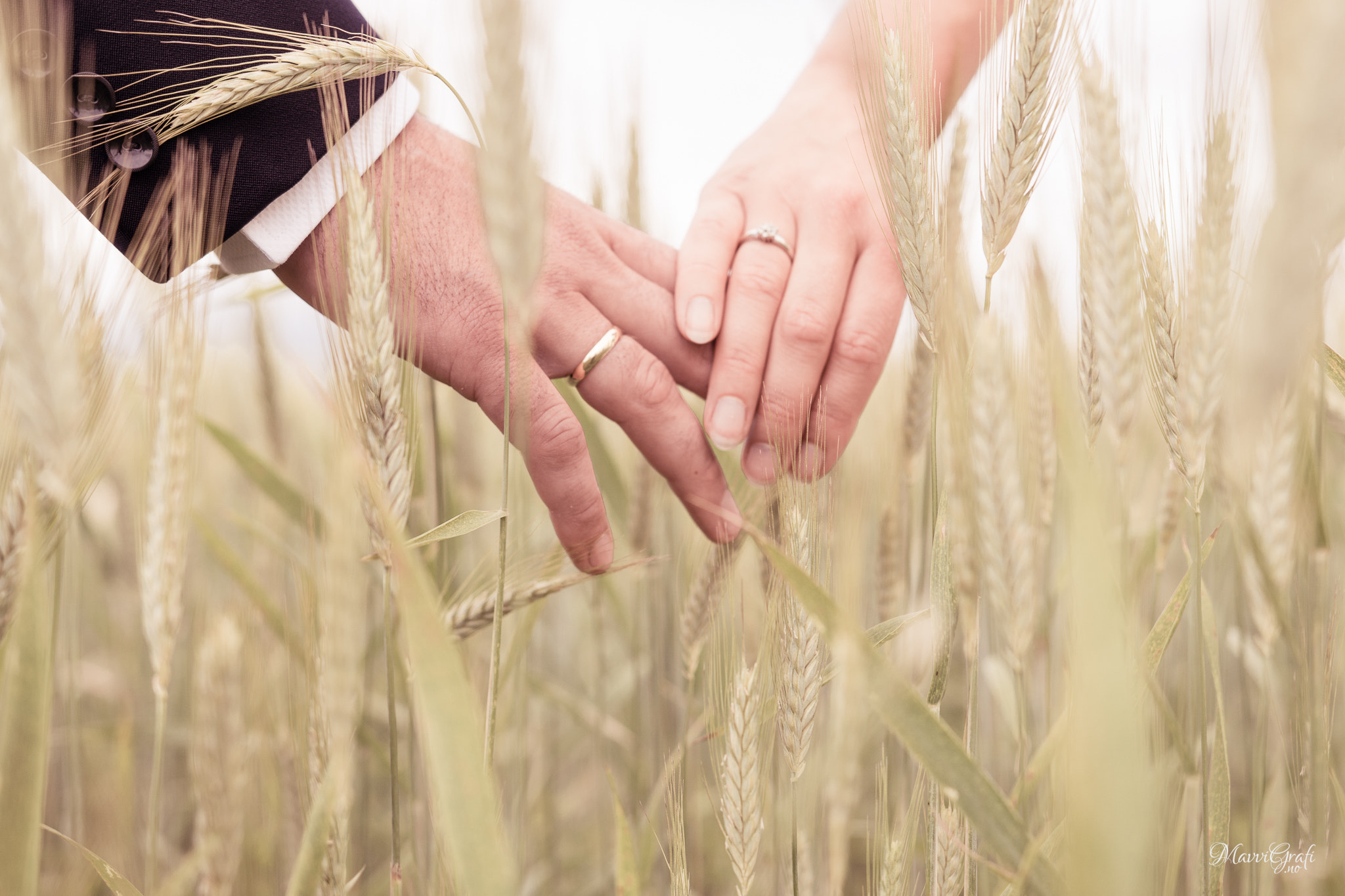 Sony ILCA-77M2 sample photo. Hands in the field photography