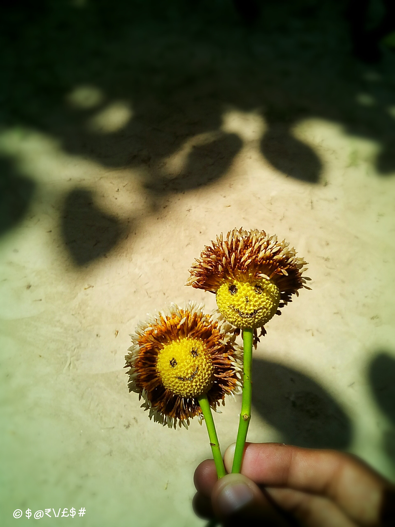 Micromax Canvas A1 sample photo. Sweet loving creation photography