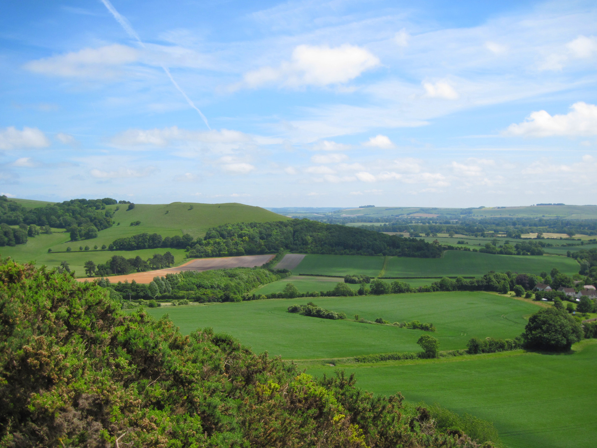 Canon PowerShot A1100 IS sample photo. Pewsey downs national reserve photography