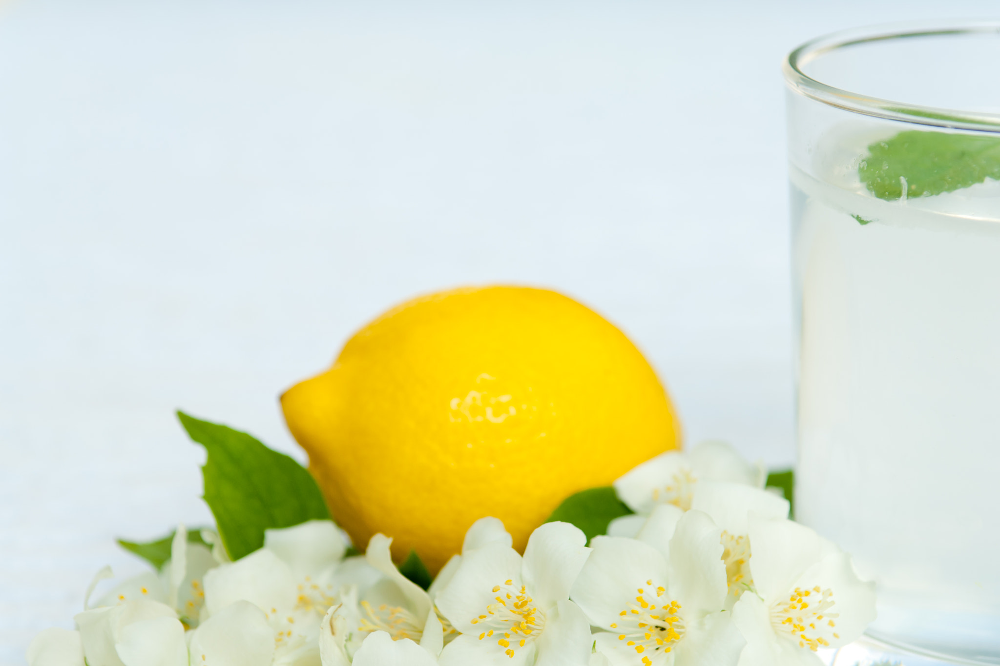 Nikon D2X sample photo. Lemonade with fresh lemon and mint leaves with copy space photography
