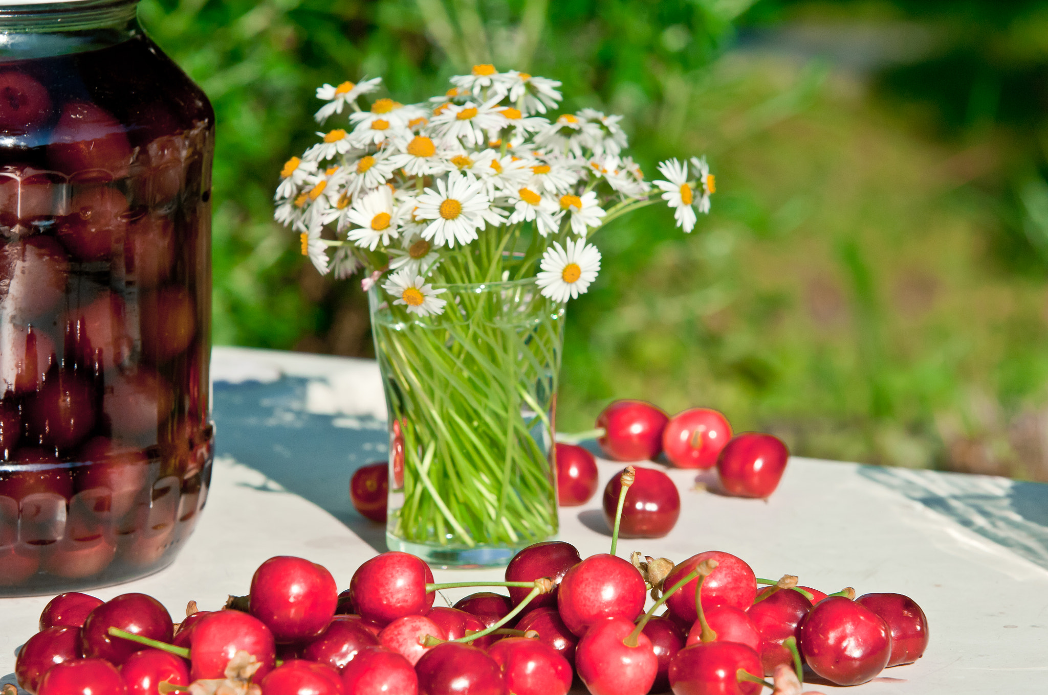 Nikon D2X sample photo. Fresh cherry bottled cherry and daisy flowers on table in spring photography