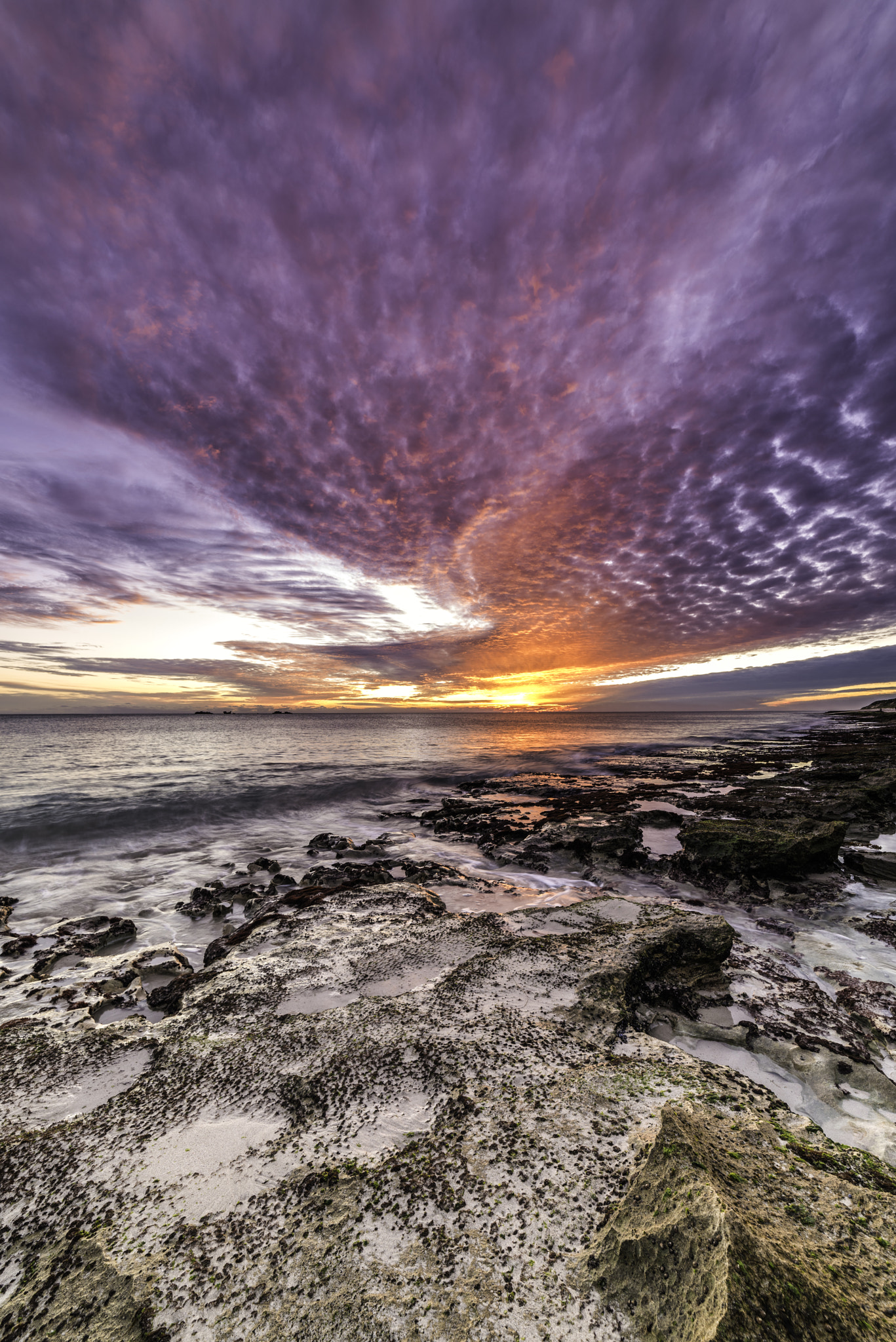 Samyang 14mm F2.8 ED AS IF UMC sample photo. Purple haze (all in my brain) photography