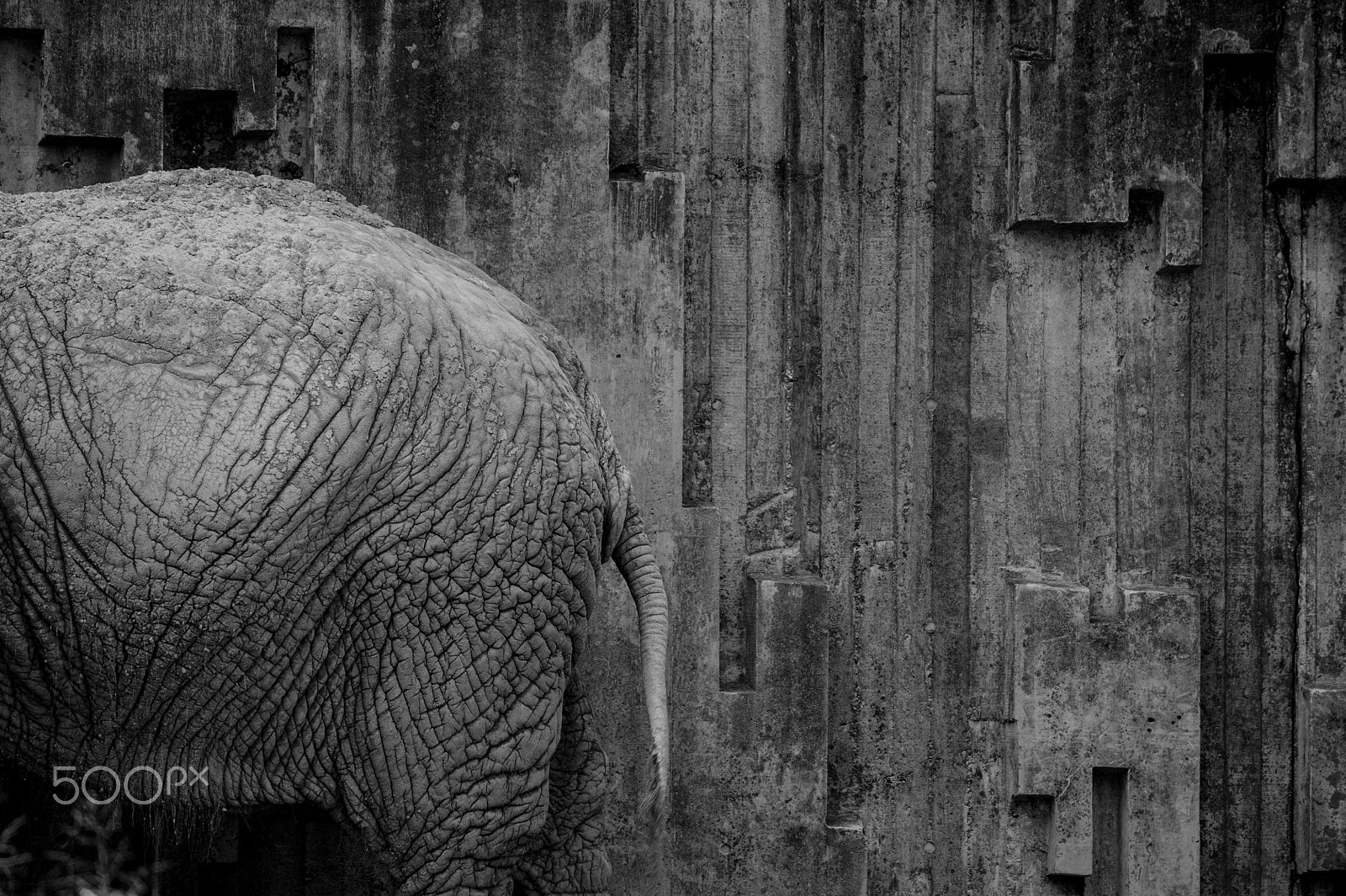 Nikon D3S sample photo. Wrinkle photography