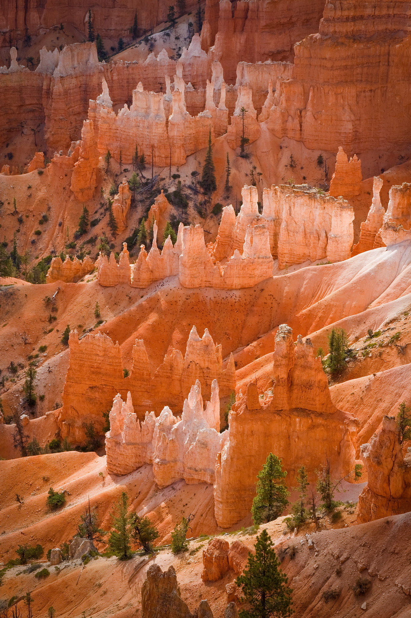 Canon EOS 400D (EOS Digital Rebel XTi / EOS Kiss Digital X) sample photo. Bryce canyon photography
