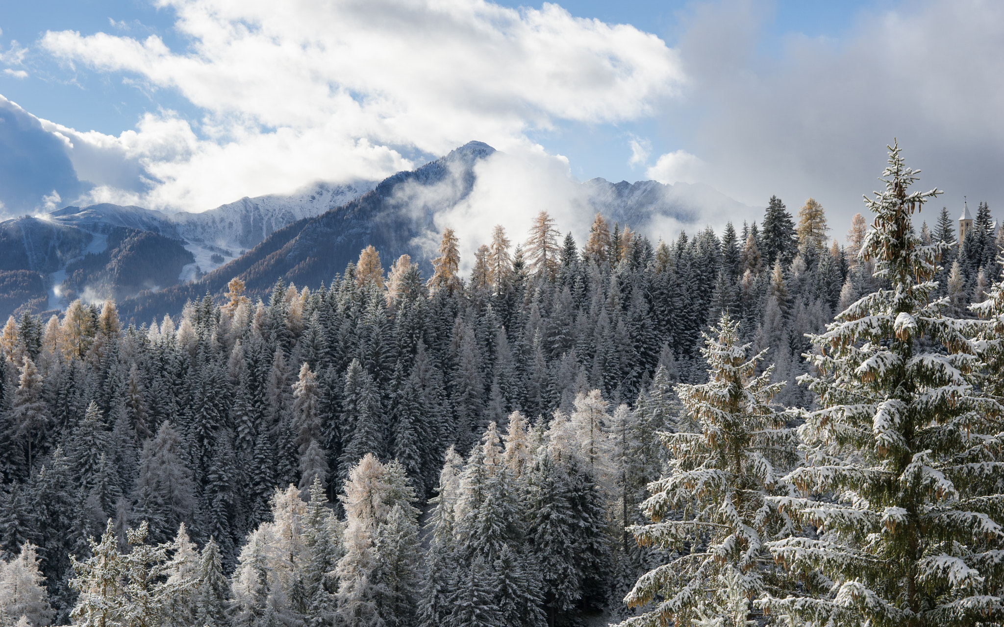 Sony ILCA-77M2 sample photo. First snow photography