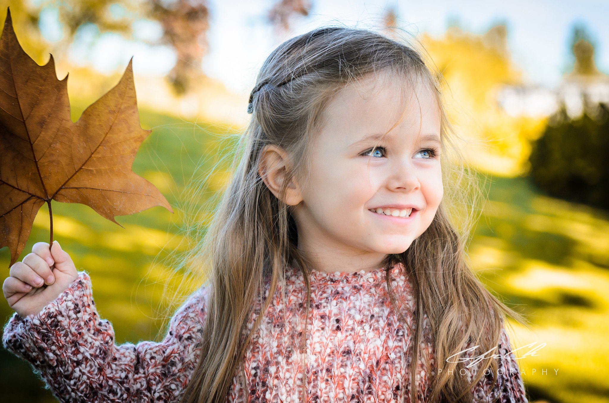 Nikon D5100 + Nikon AF-S Nikkor 85mm F1.8G sample photo. Autumn sunshine photography