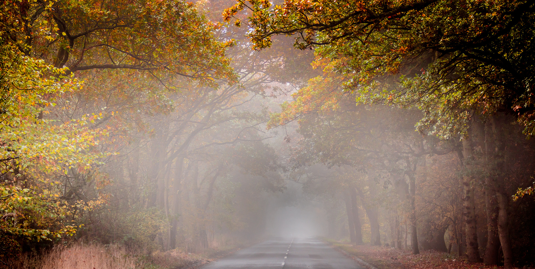 Canon EOS 7D Mark II + Canon EF 75-300mm F4.0-5.6 IS USM sample photo. Autumn road photography