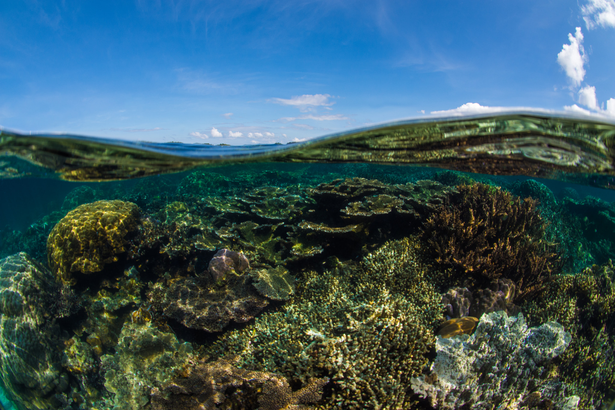 Sigma 10mm F2.8 EX DC HSM Diagonal Fisheye sample photo. Waterhousing photography