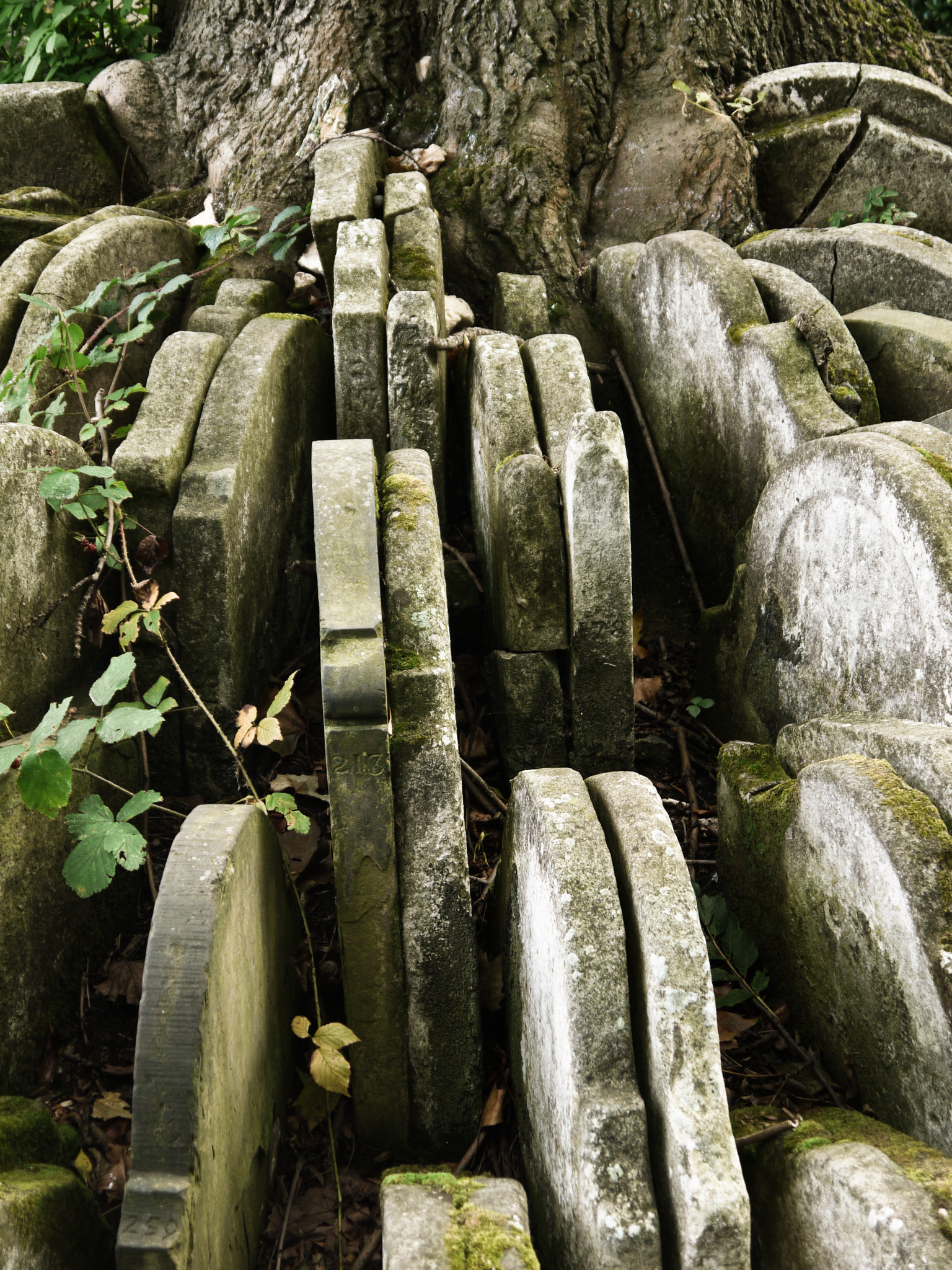 Panasonic Lumix DMC-G2 sample photo. Gravestones photography