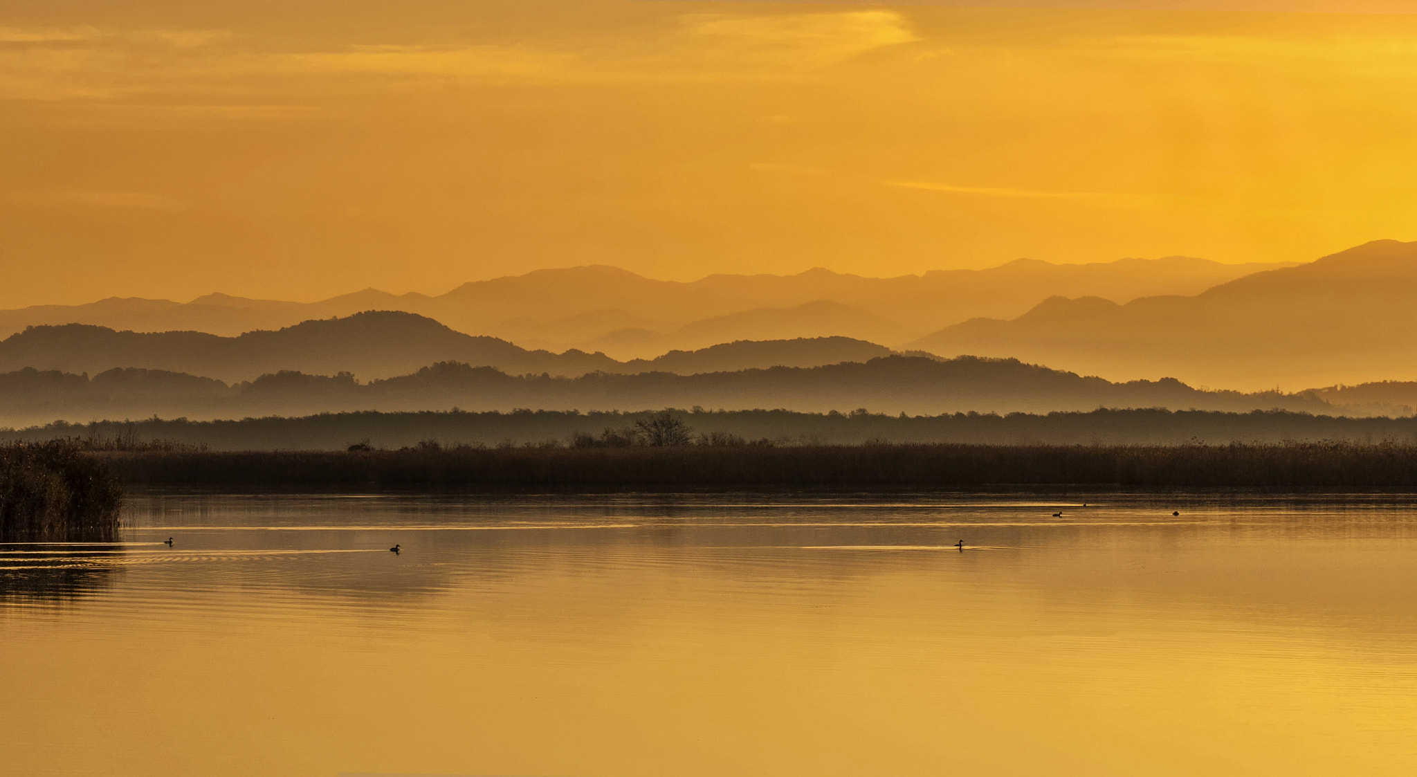 Nikon D2X sample photo. Golden morning...! photography